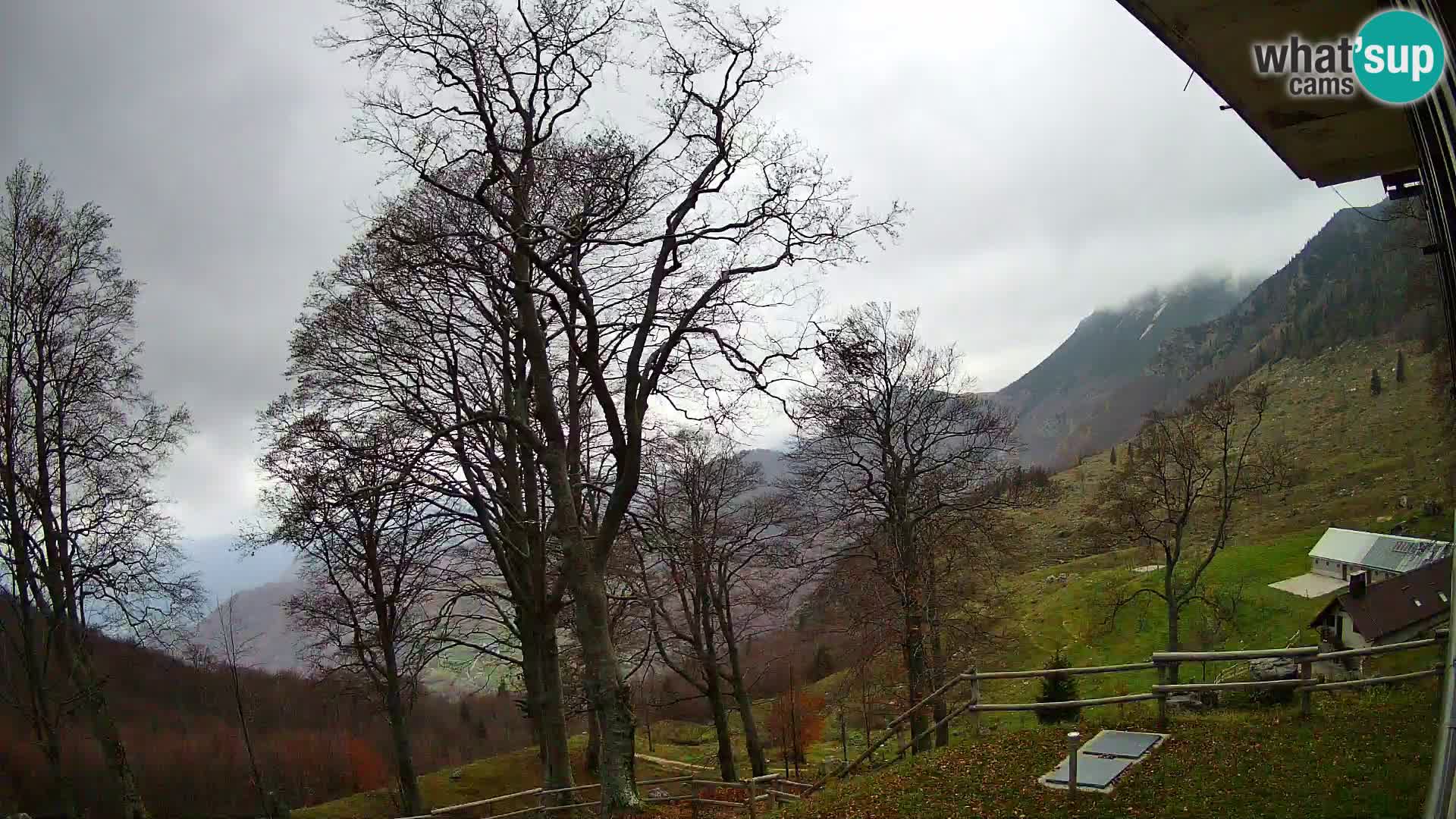 Baita di montagna Planina Razor webcam (1315) | vista su Tolminski Migovec