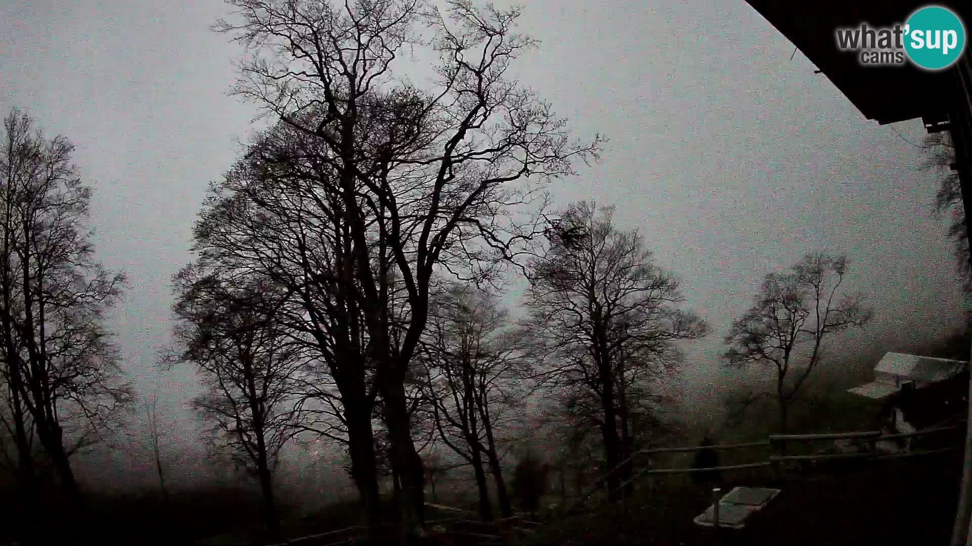 Baita di montagna Planina Razor webcam (1315) | vista su Tolminski Migovec