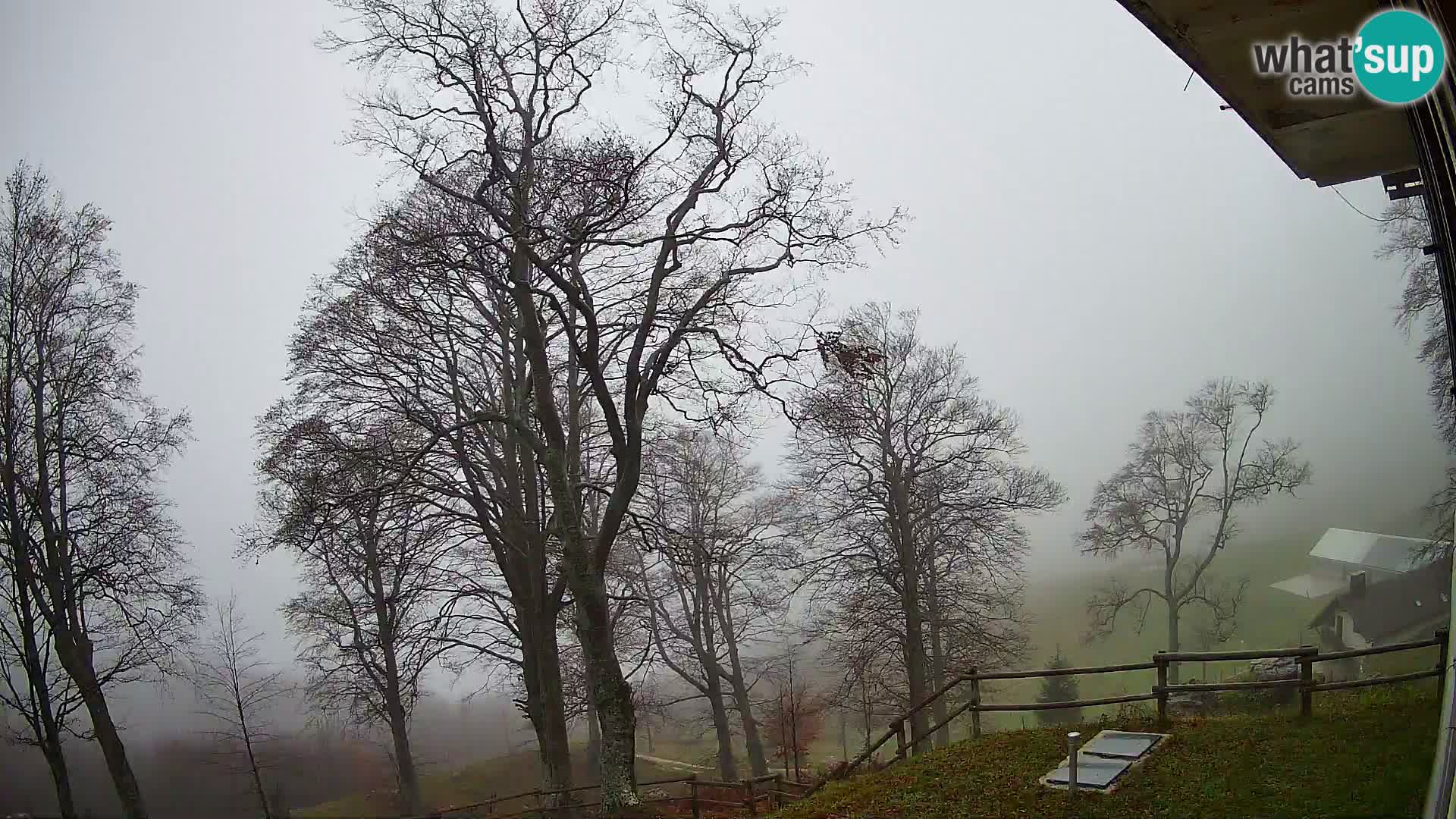 Koča na Planini Razor spletna kamera (1315) | Pogled na Tolminski Migovec