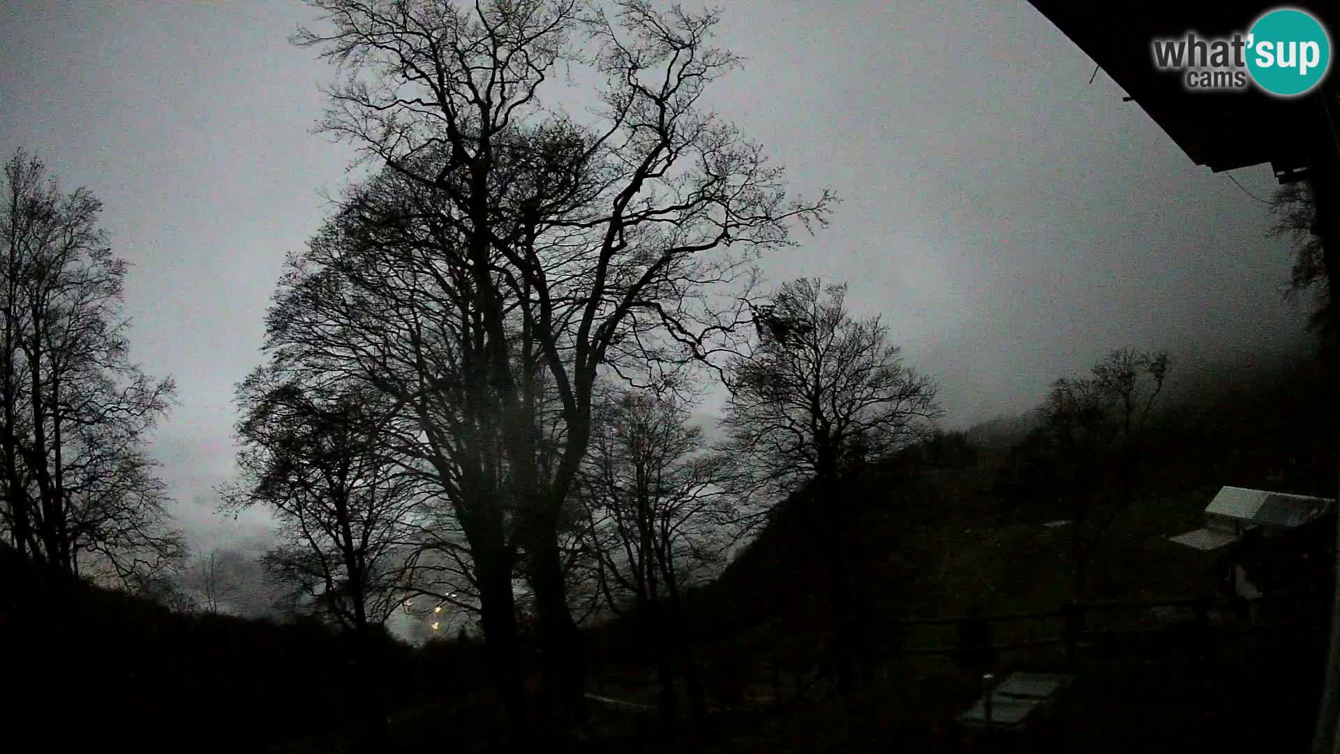 Planina Razor Mountain Hut live cam (1315) | view to Tolminski Migovec