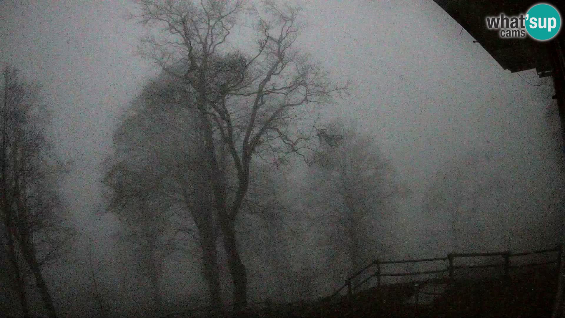 Planina Razor Bergütte Webcam (1315) | Blick auf Tolminski Migovec