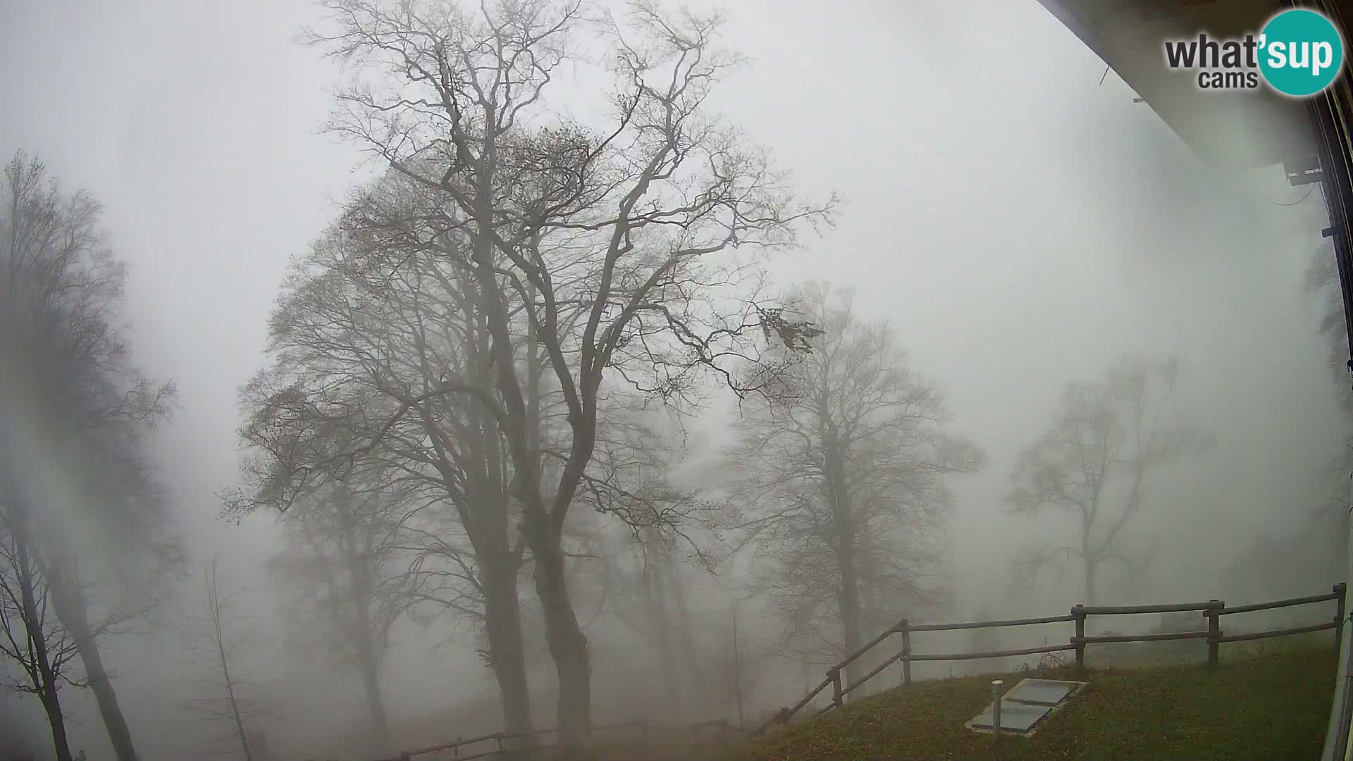 Planina Razor Bergütte Webcam (1315) | Blick auf Tolminski Migovec