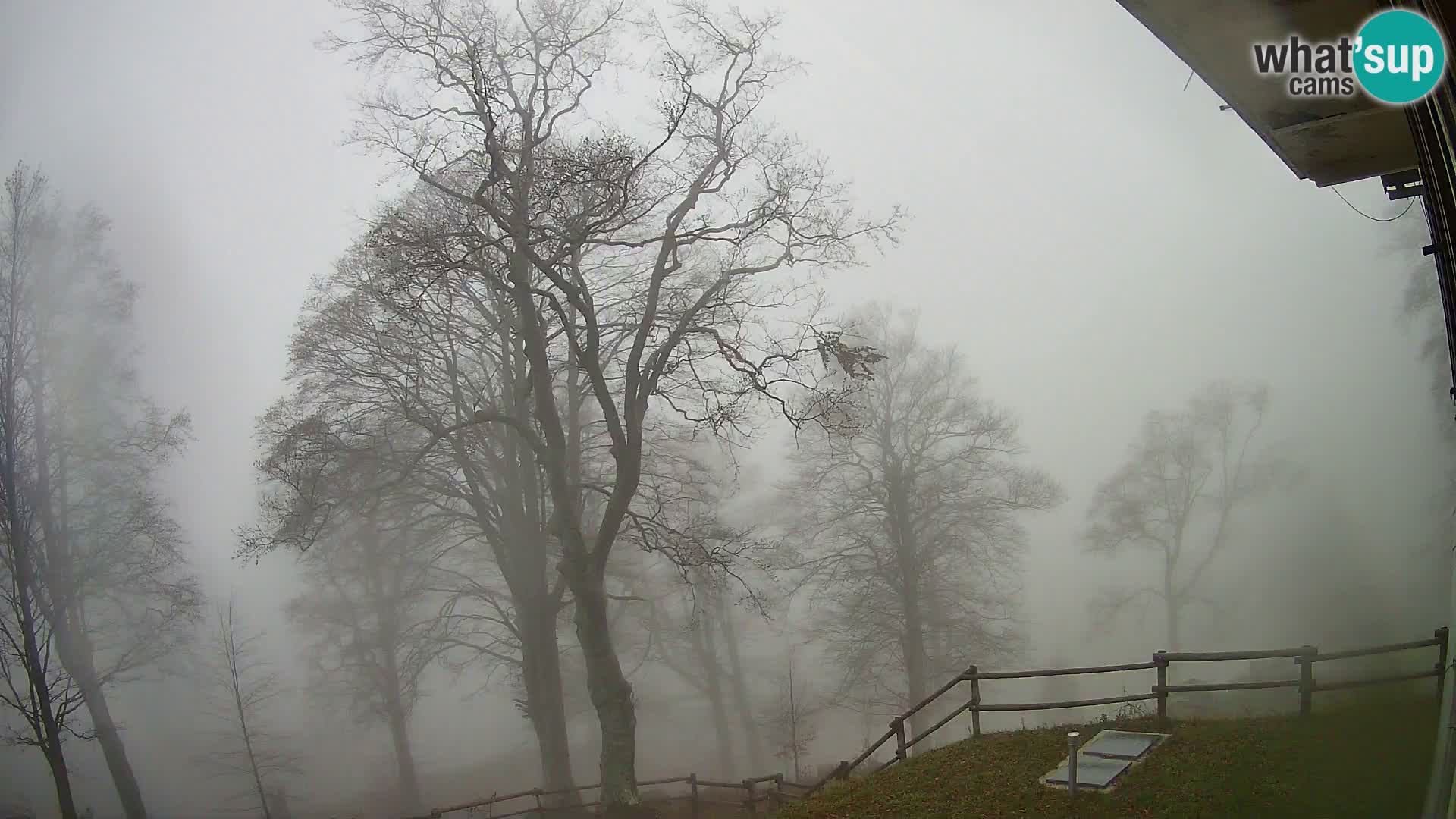 Baita di montagna Planina Razor webcam (1315) | vista su Tolminski Migovec