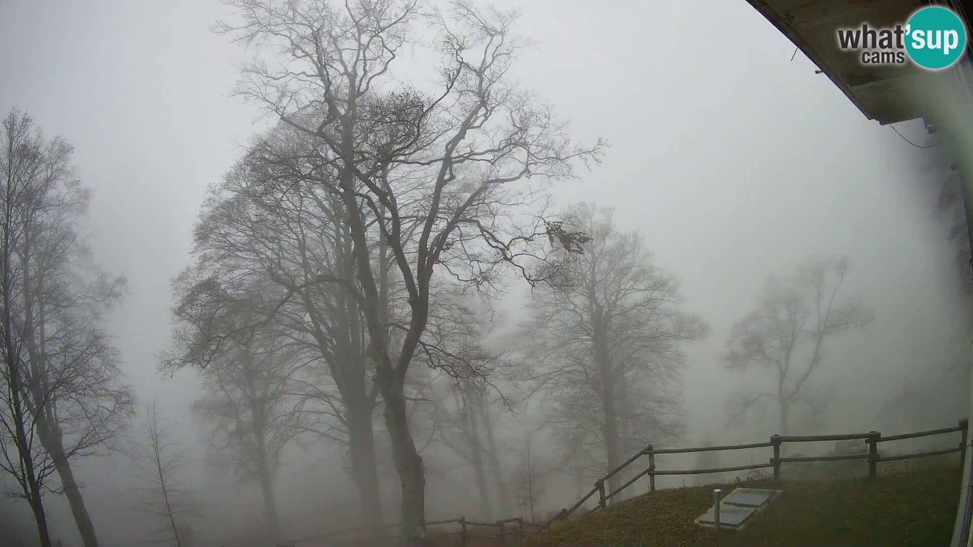 Planina Razor Bergütte Webcam (1315) | Blick auf Tolminski Migovec