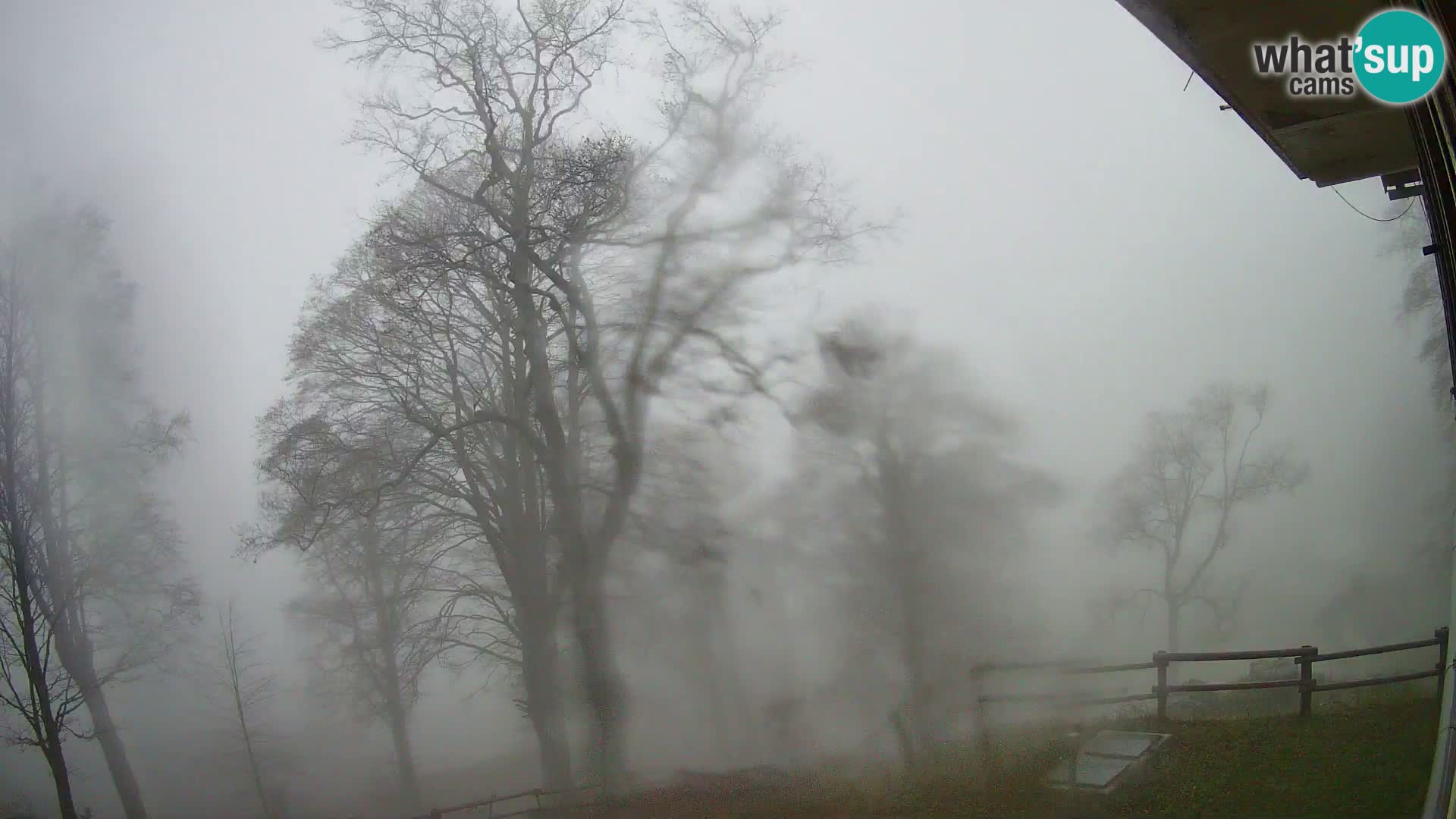 Baita di montagna Planina Razor webcam (1315) | vista su Tolminski Migovec