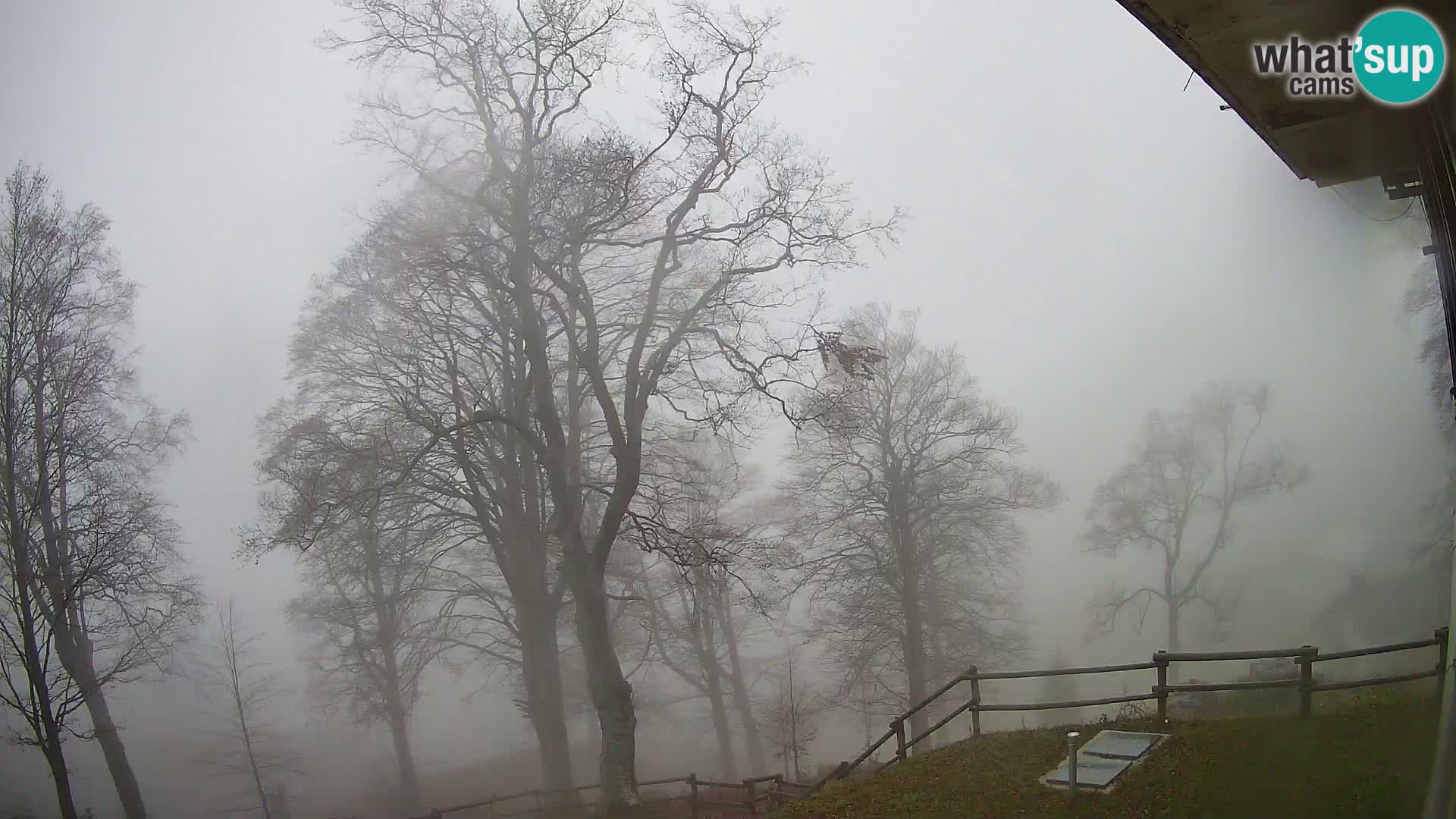 Cámara en vivo de la cabaña de montaña Planina Razor (1315) | vista hacia Tolminski Migovec