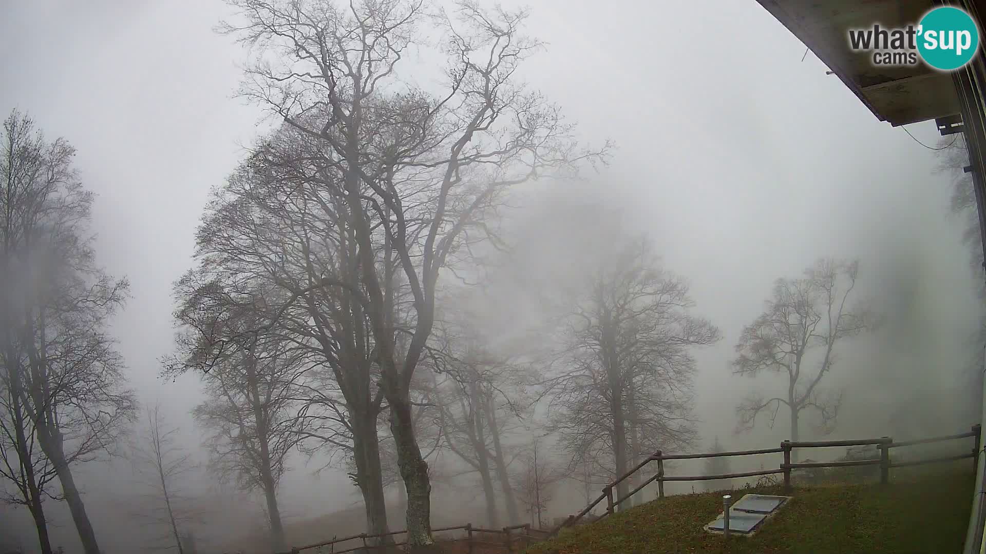 Cámara en vivo de la cabaña de montaña Planina Razor (1315) | vista hacia Tolminski Migovec