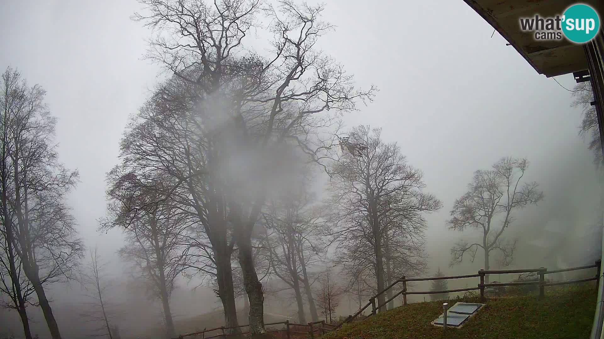 Cámara en vivo de la cabaña de montaña Planina Razor (1315) | vista hacia Tolminski Migovec