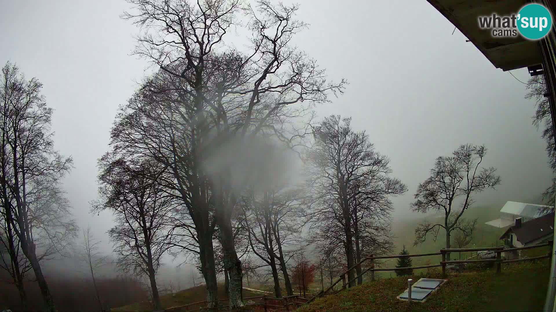 Cámara en vivo de la cabaña de montaña Planina Razor (1315) | vista hacia Tolminski Migovec