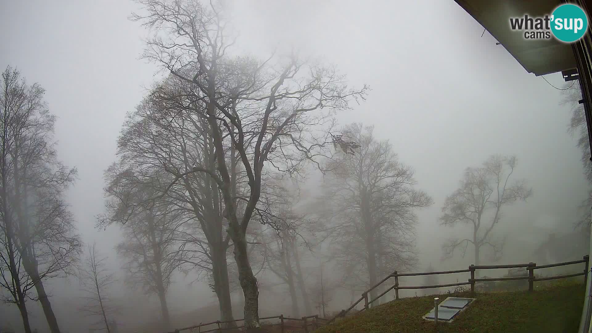 Planina Razor Mountain Hut live cam (1315) | view to Tolminski Migovec