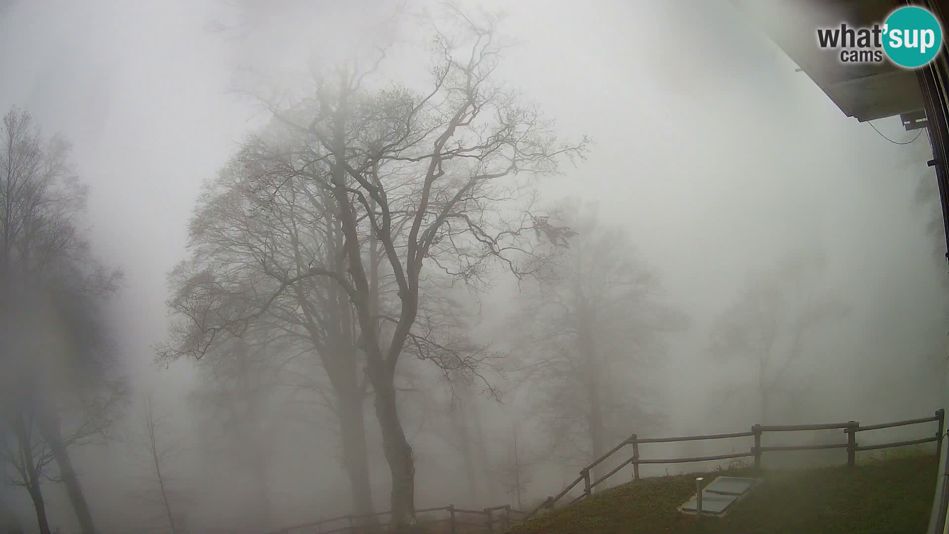 Planina Razor Bergütte Webcam (1315) | Blick auf Tolminski Migovec
