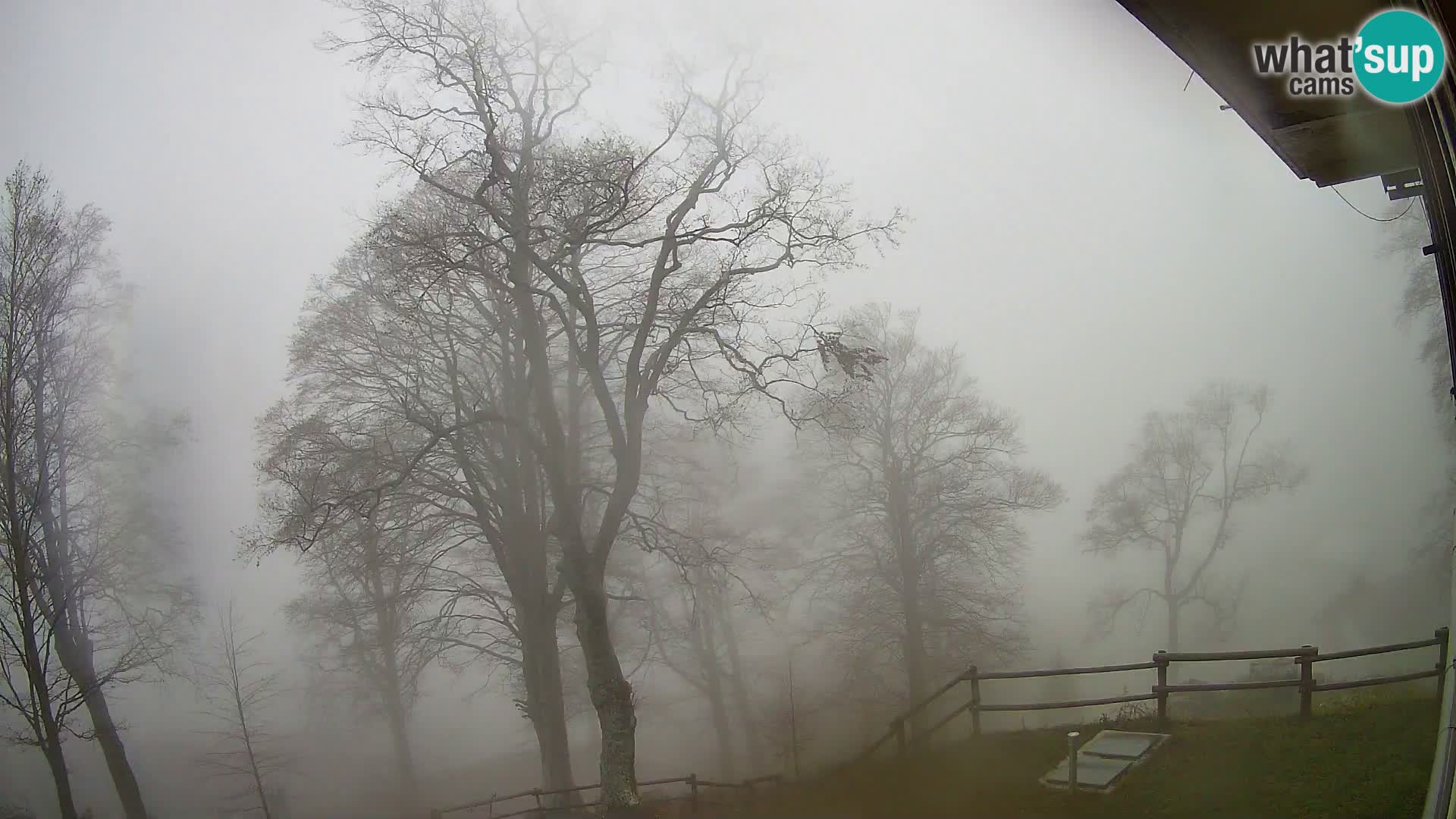 Baita di montagna Planina Razor webcam (1315) | vista su Tolminski Migovec