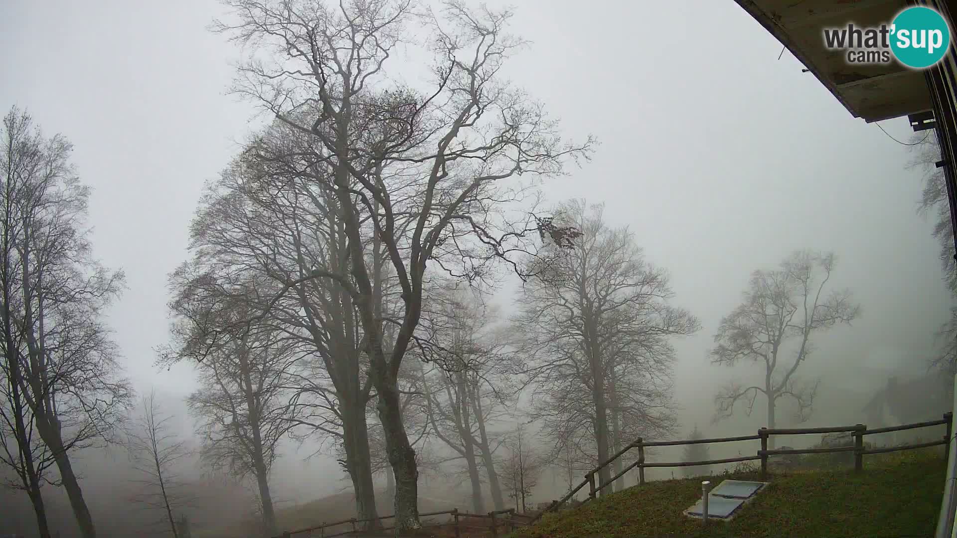 Koča na Planini Razor spletna kamera (1315) | Pogled na Tolminski Migovec