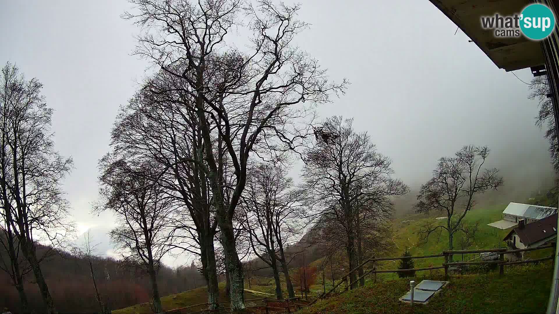 Planina Razor Bergütte Webcam (1315) | Blick auf Tolminski Migovec