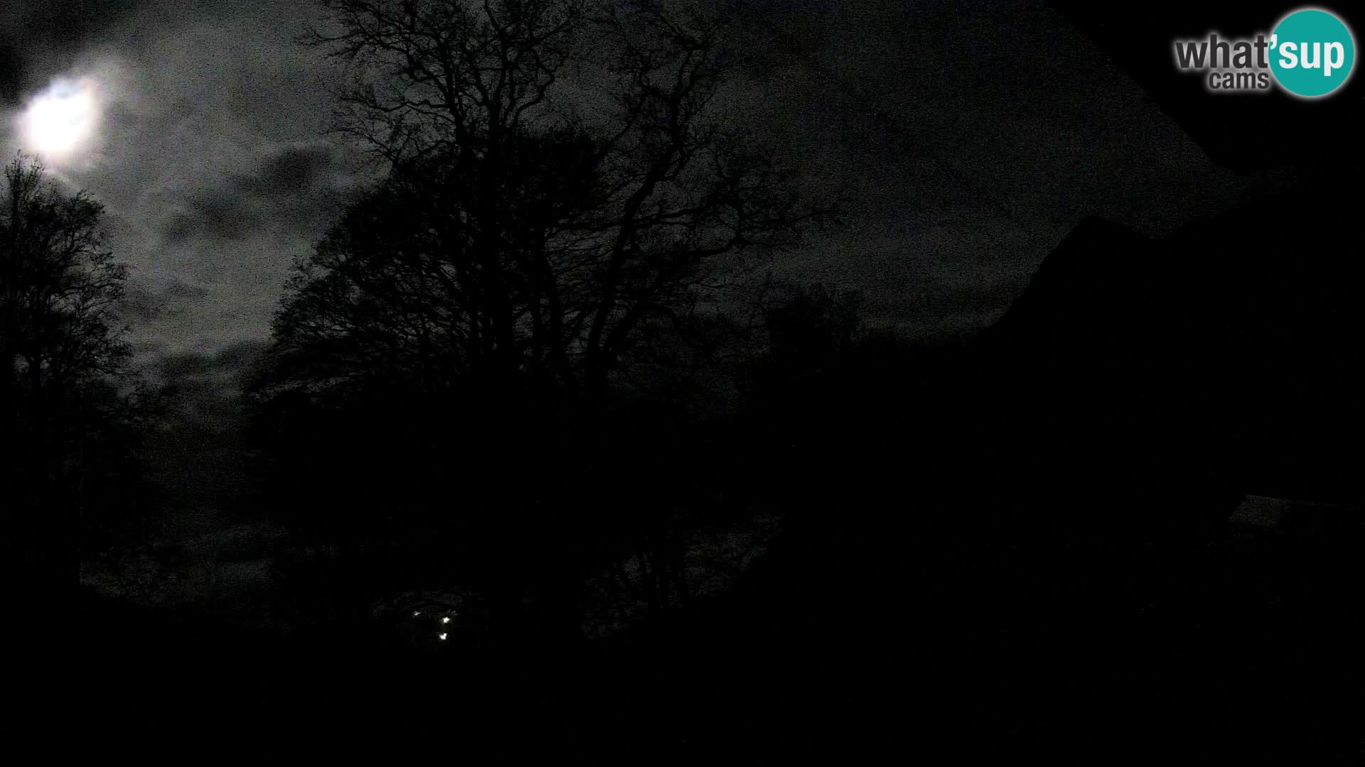 Planina Razor Bergütte Webcam (1315) | Blick auf Tolminski Migovec