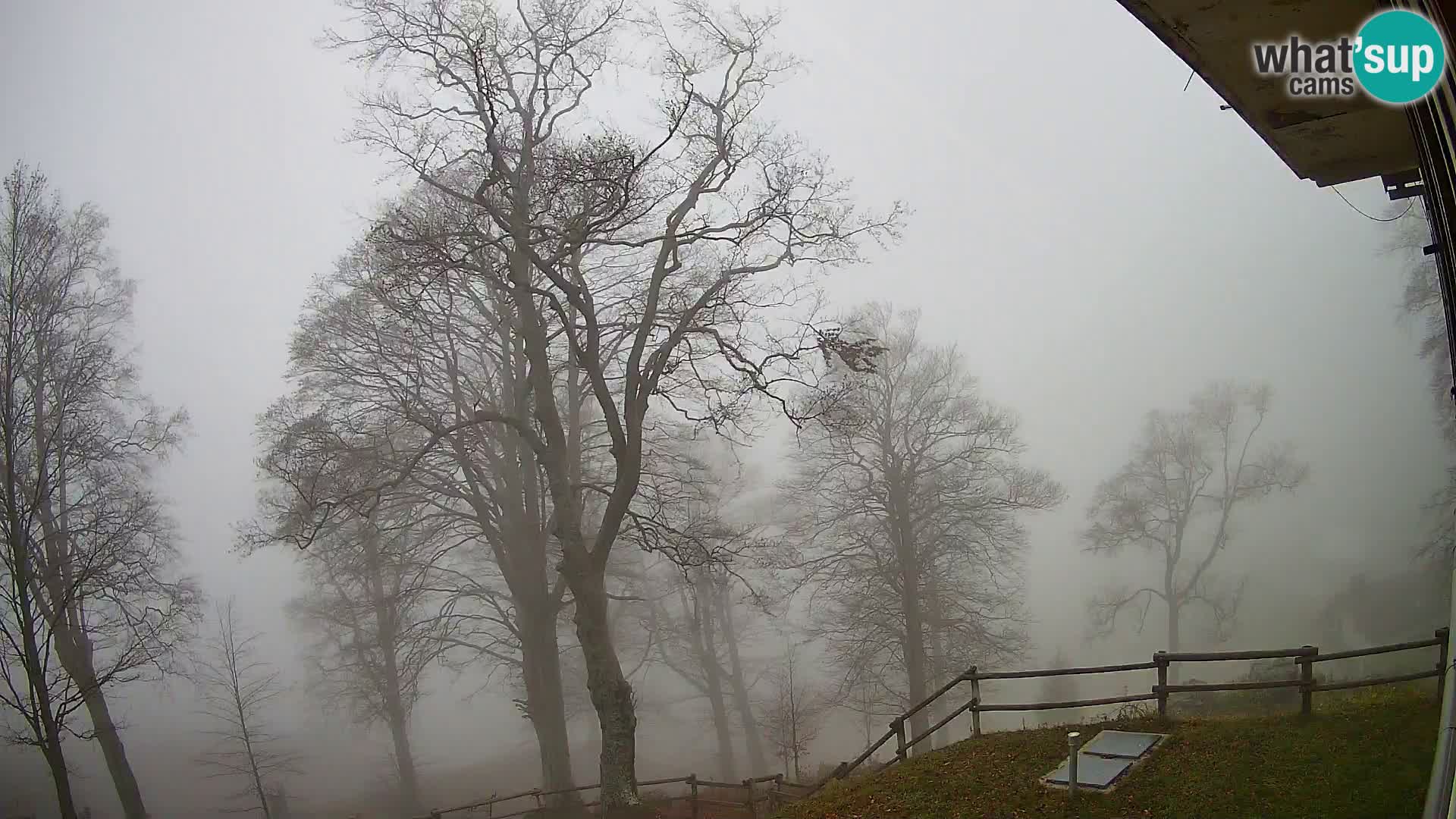 Cámara en vivo de la cabaña de montaña Planina Razor (1315) | vista hacia Tolminski Migovec