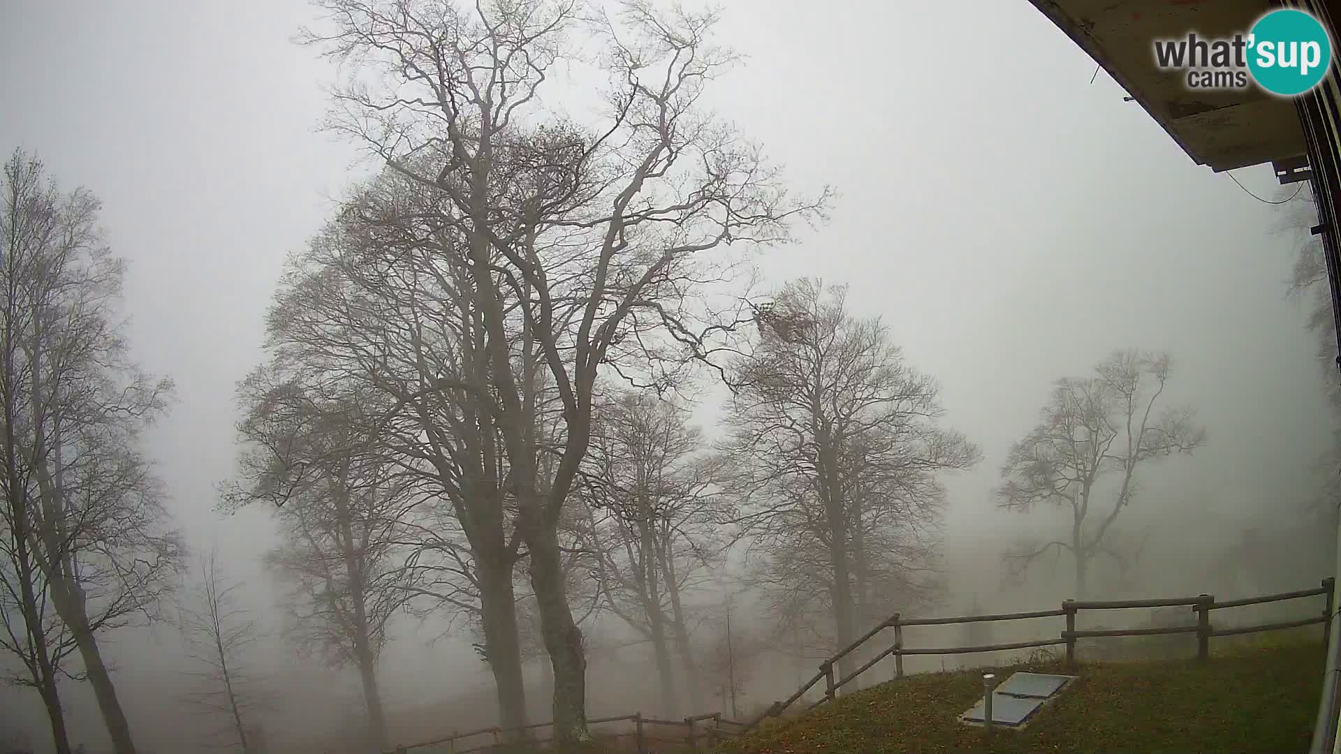 Baita di montagna Planina Razor webcam (1315) | vista su Tolminski Migovec