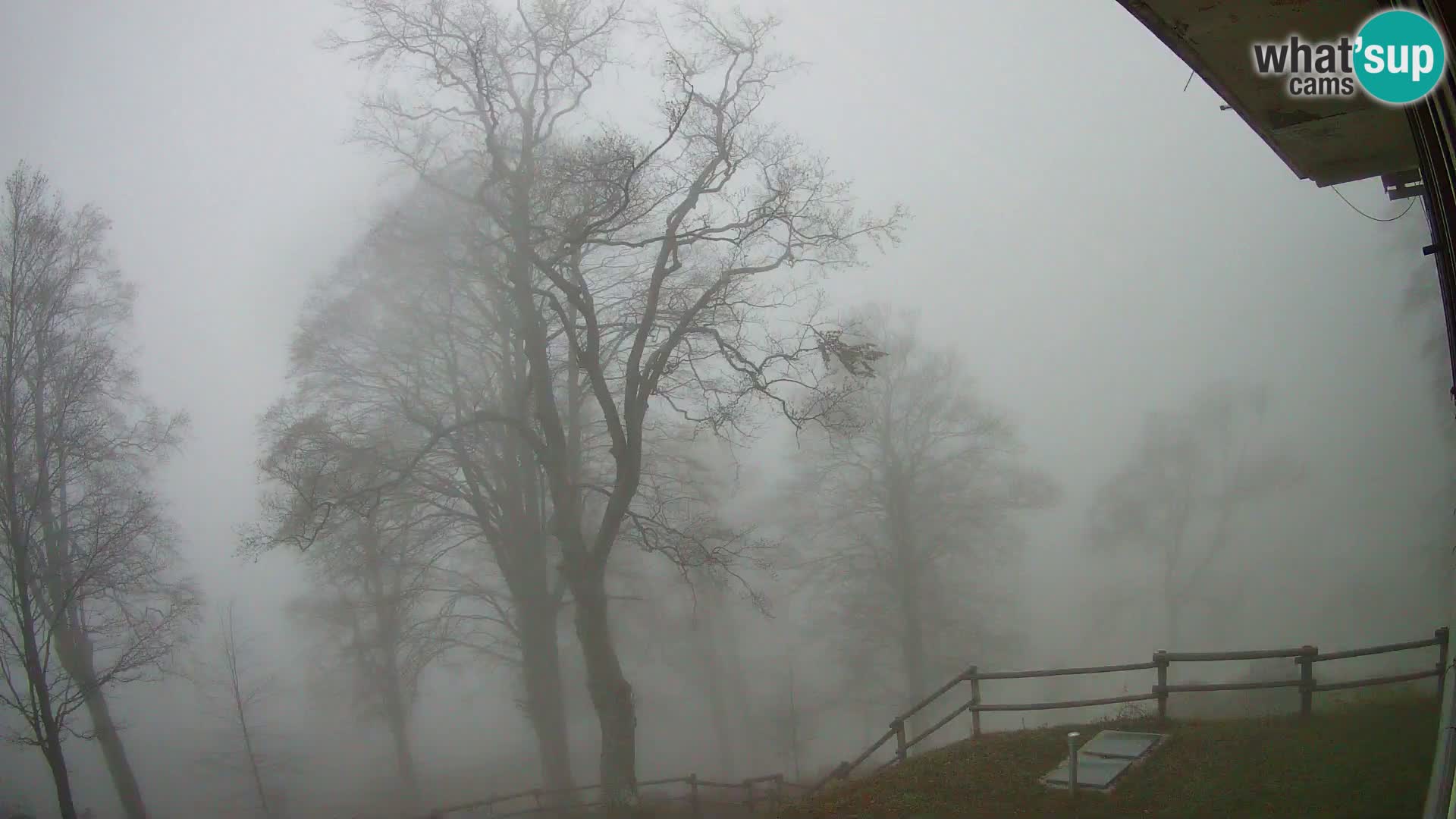 Planinarski dom na planini Razor (1315) | Pogled na Tolminski Migovec