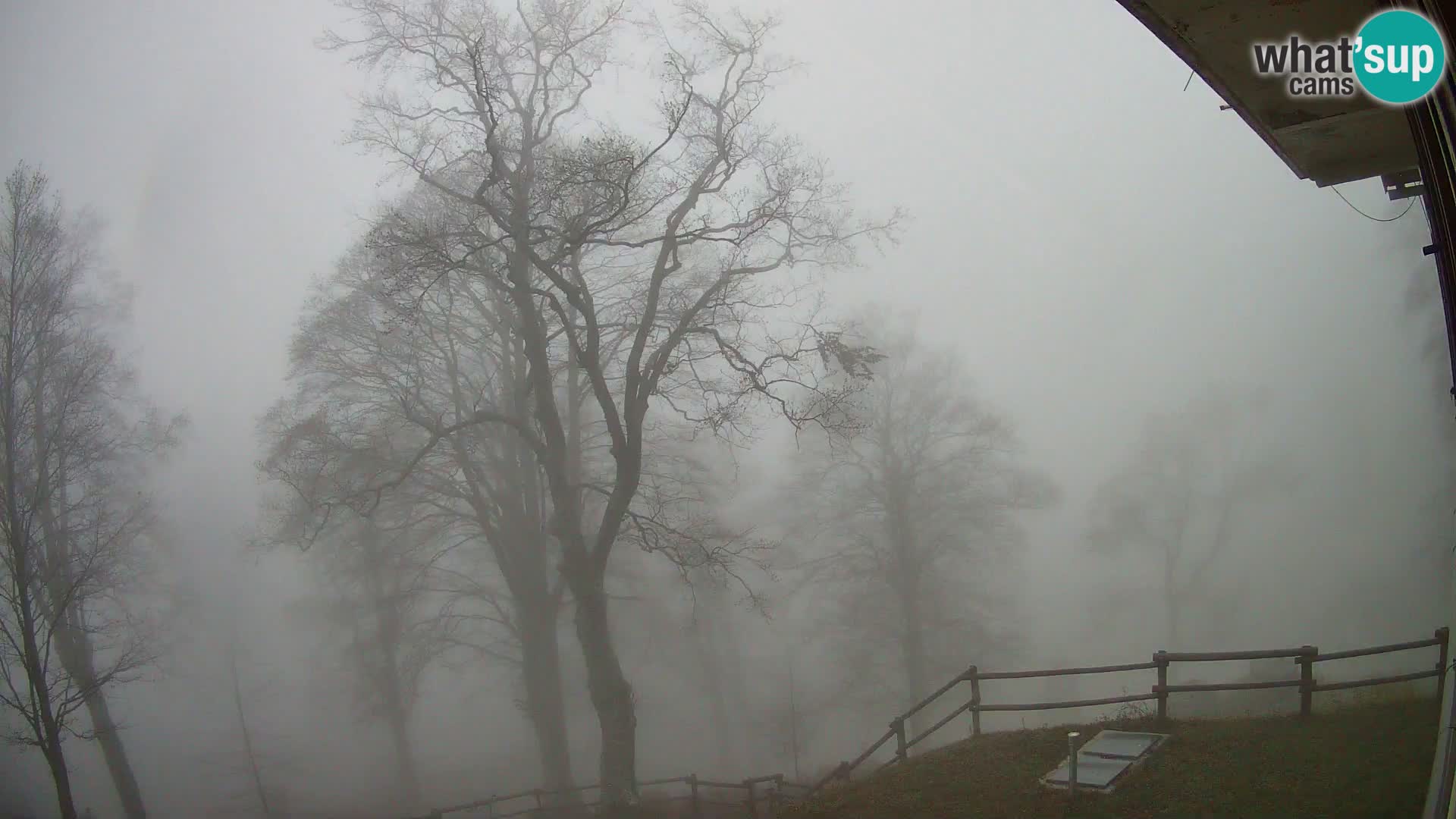 Koča na Planini Razor spletna kamera (1315) | Pogled na Tolminski Migovec