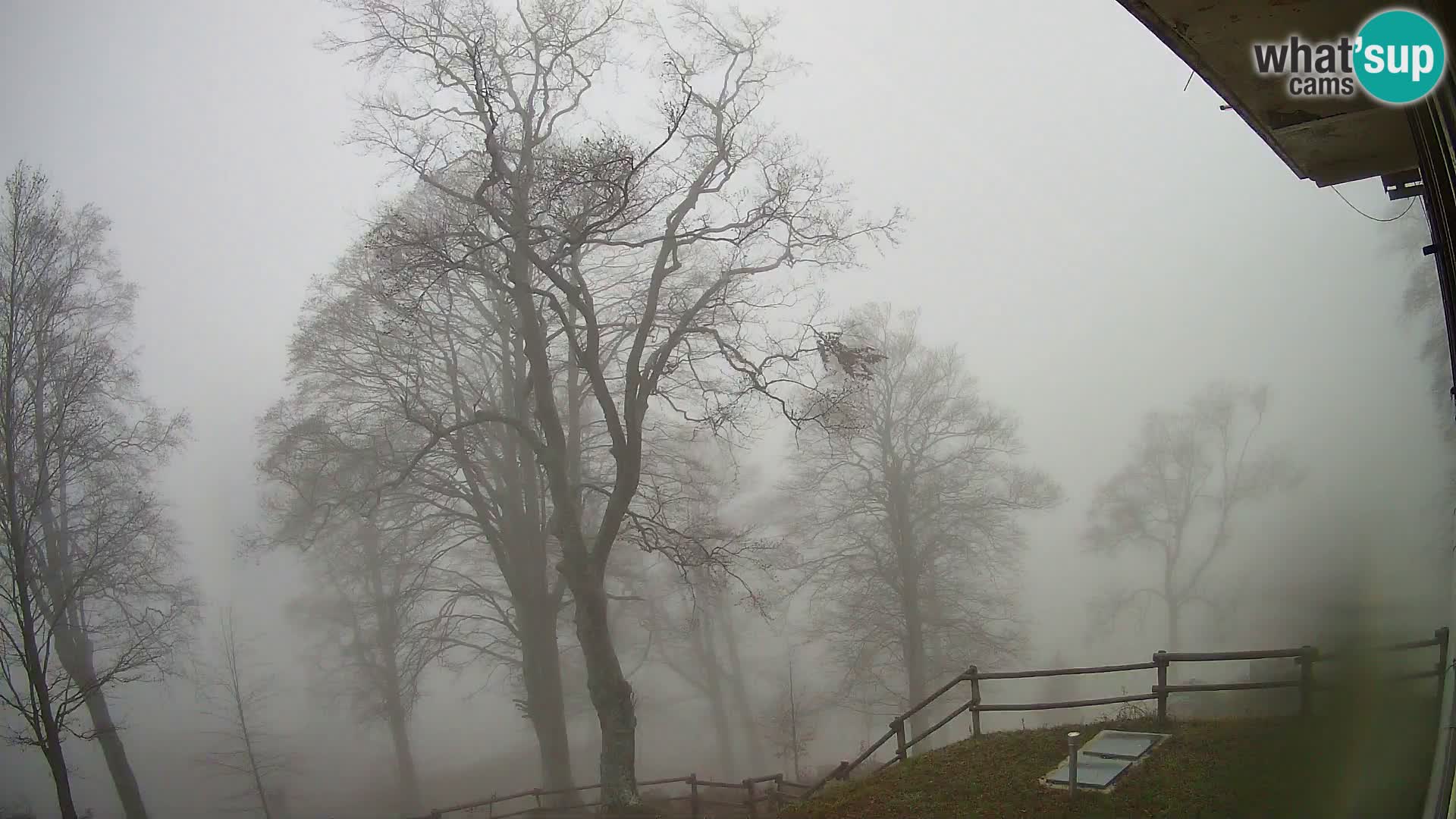 Baita di montagna Planina Razor webcam (1315) | vista su Tolminski Migovec