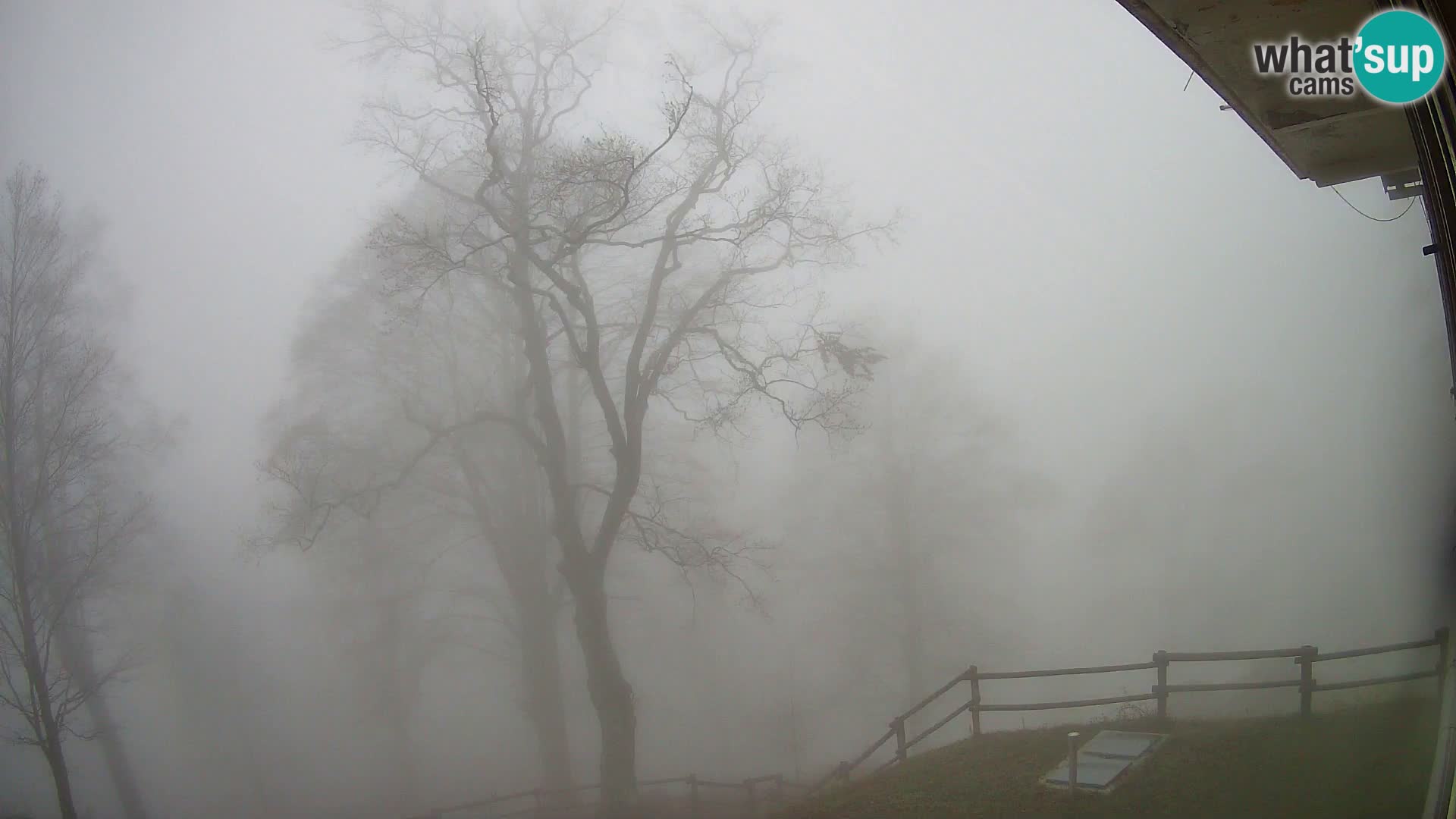 Refuge de la montagne Planina Razor caméra en direct (1315) | vue sur Tolminski Migovec