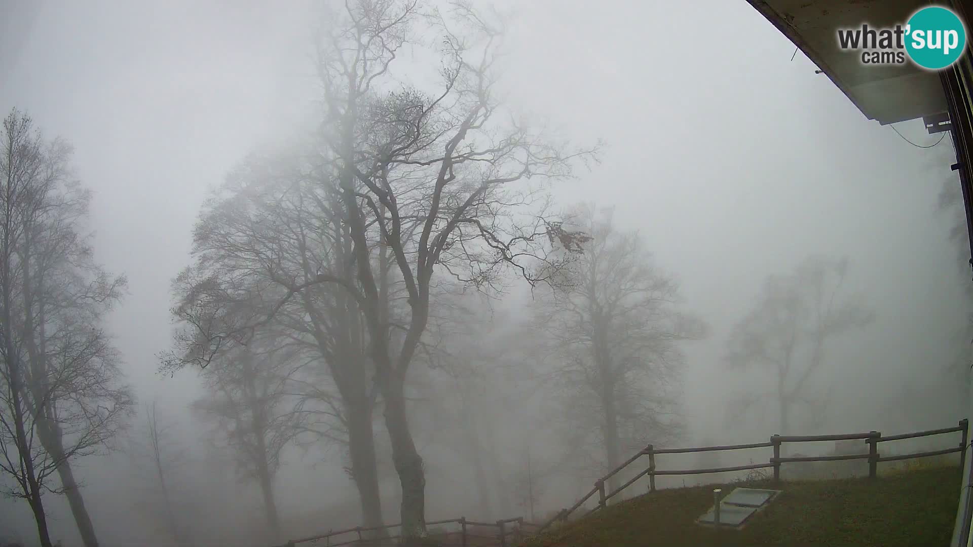 Cámara en vivo de la cabaña de montaña Planina Razor (1315) | vista hacia Tolminski Migovec