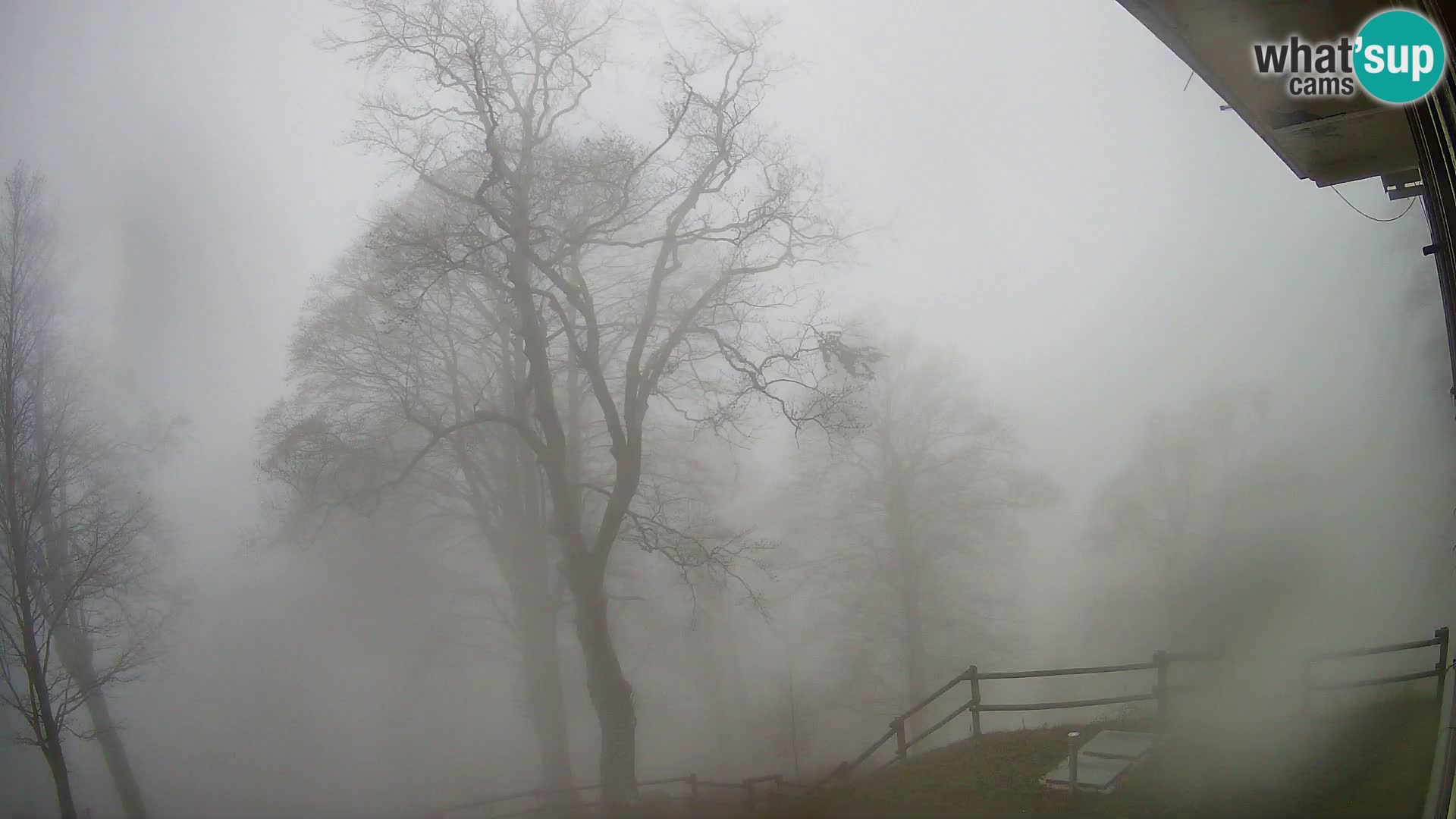 Baita di montagna Planina Razor webcam (1315) | vista su Tolminski Migovec