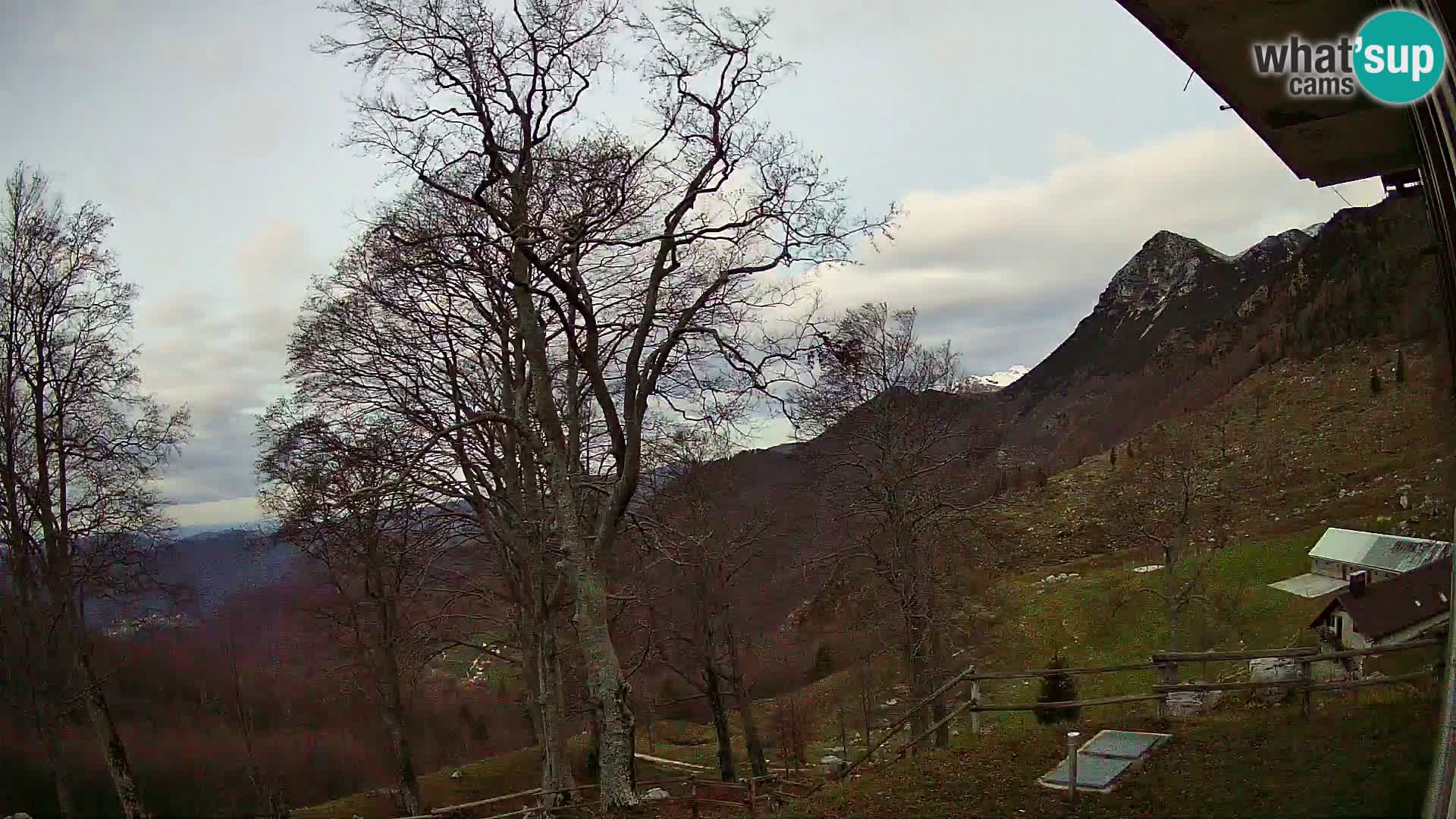 Cámara en vivo de la cabaña de montaña Planina Razor (1315) | vista hacia Tolminski Migovec