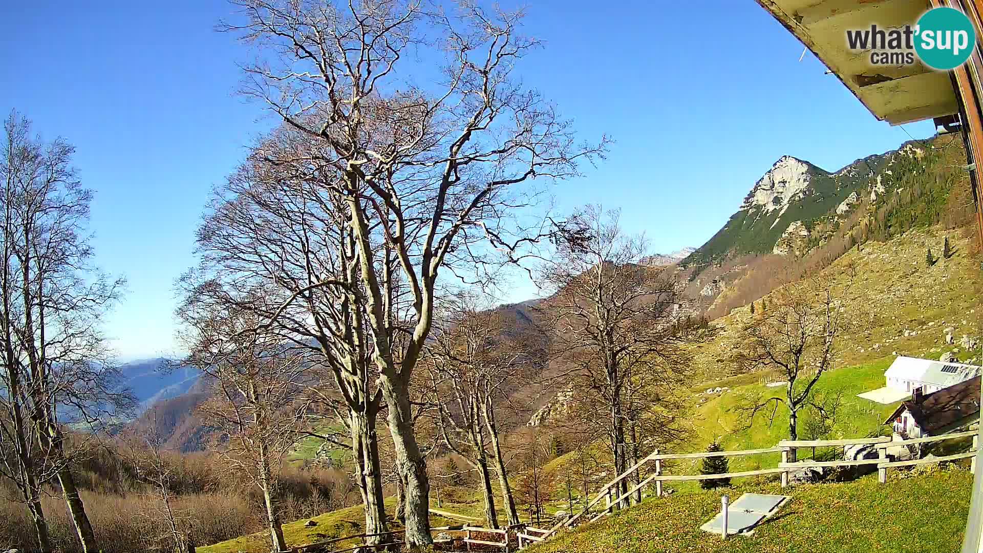 Baita di montagna Planina Razor webcam (1315) | vista su Tolminski Migovec