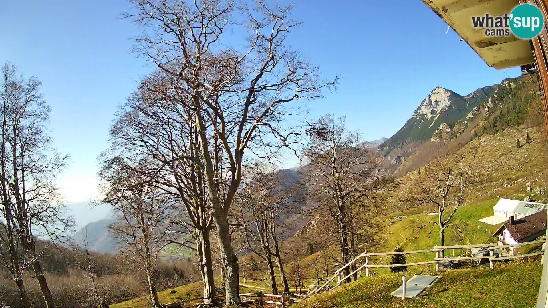 Cámara en vivo de la cabaña de montaña Planina Razor (1315) | vista hacia Tolminski Migovec