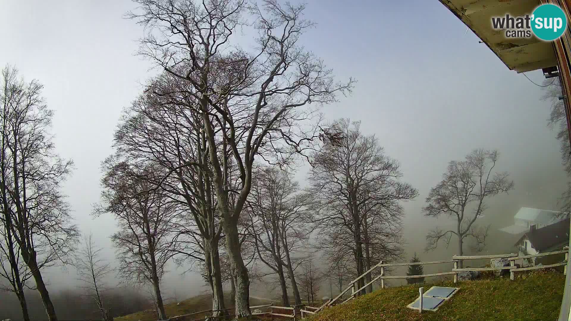 Cámara en vivo de la cabaña de montaña Planina Razor (1315) | vista hacia Tolminski Migovec