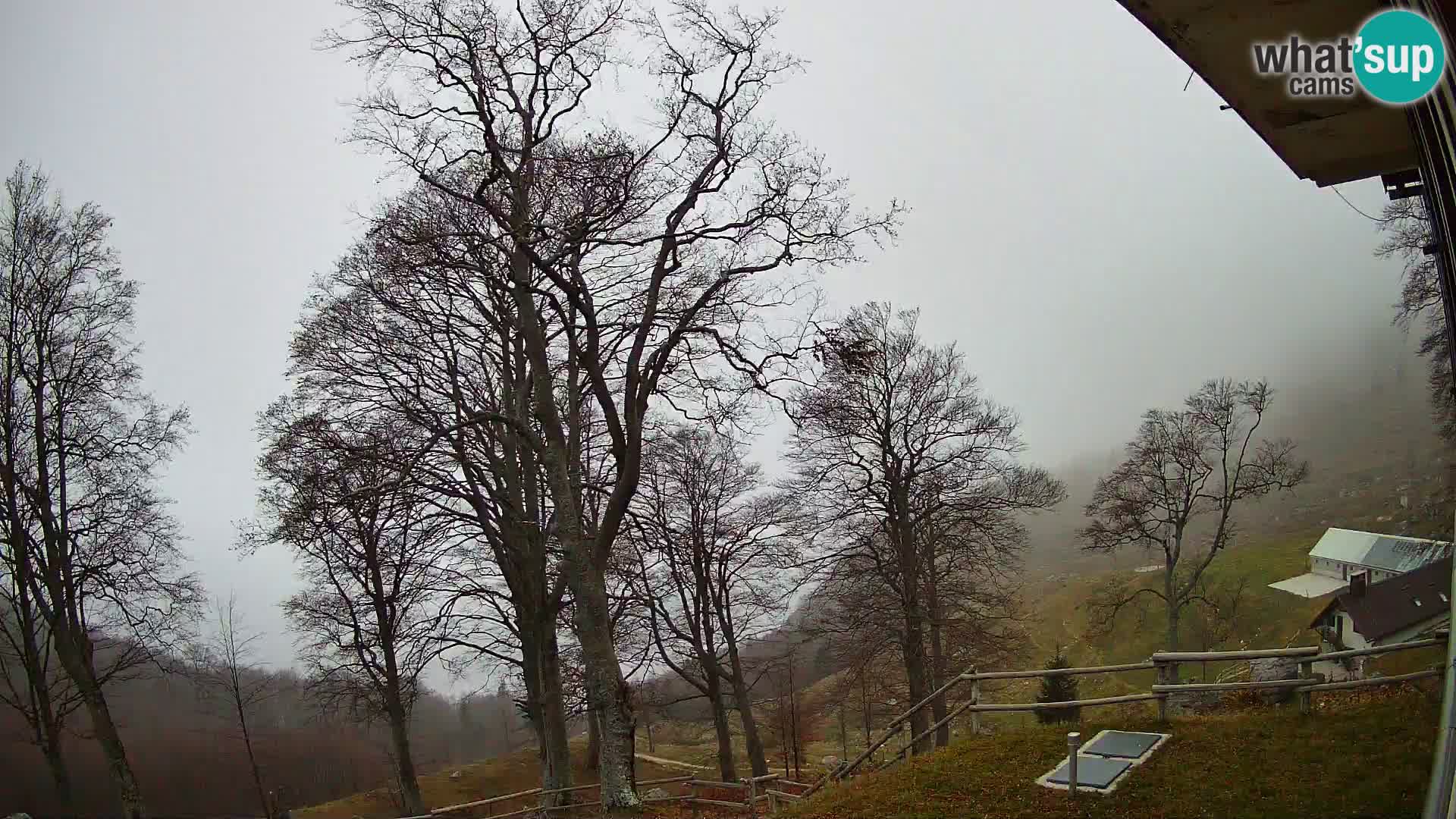 Planina Razor Bergütte Webcam (1315) | Blick auf Tolminski Migovec