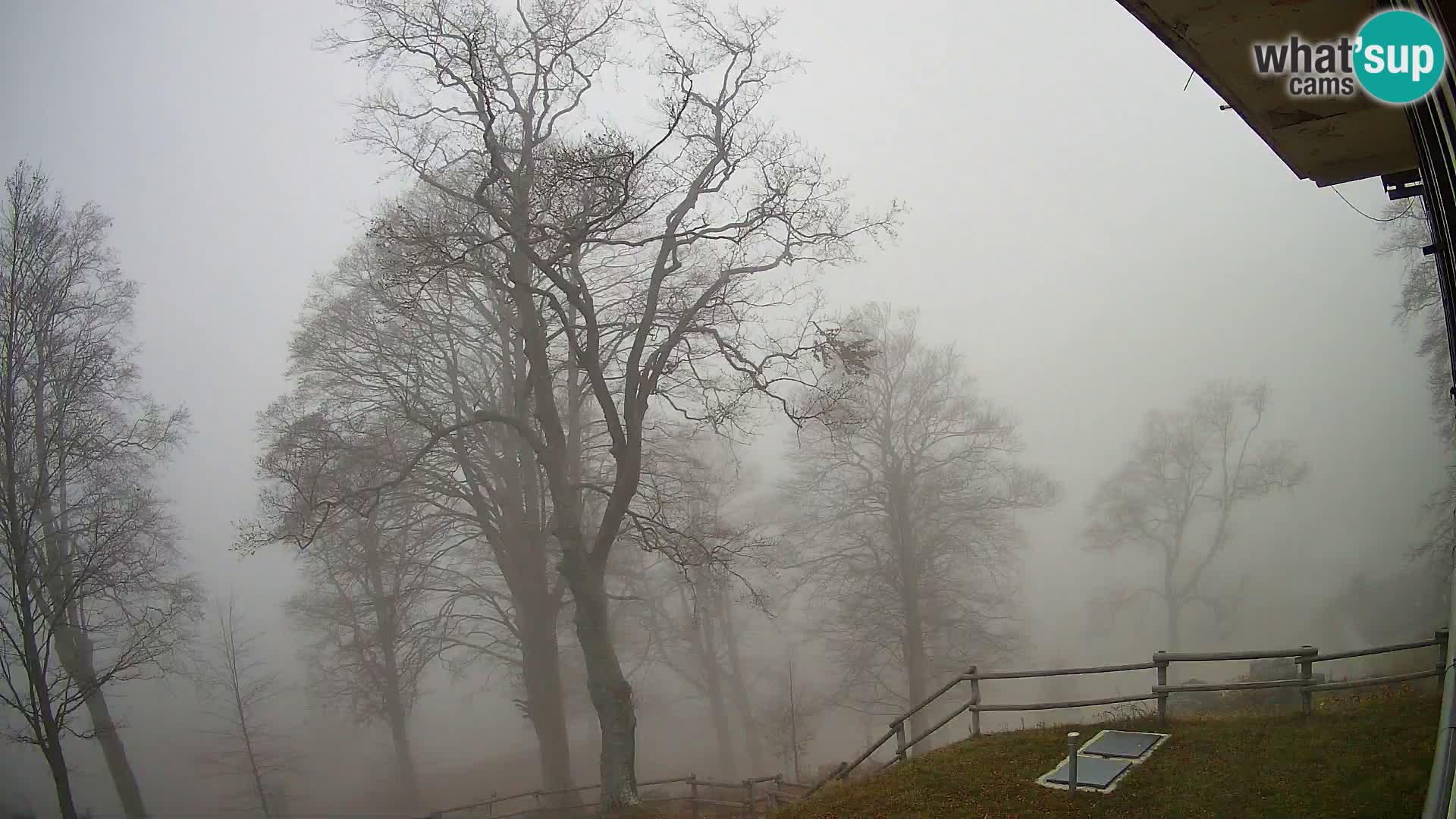 Refuge de la montagne Planina Razor caméra en direct (1315) | vue sur Tolminski Migovec