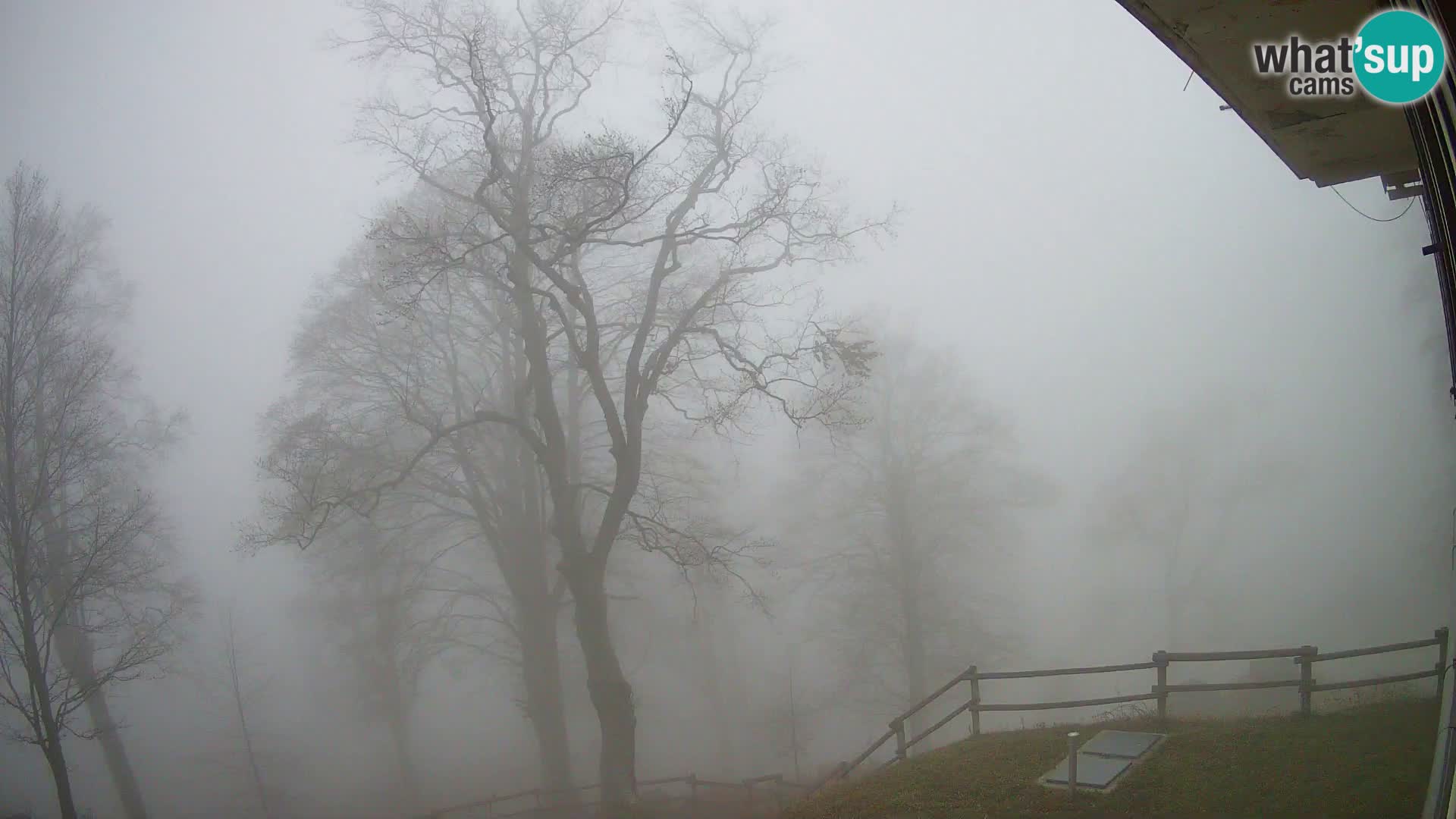 Cámara en vivo de la cabaña de montaña Planina Razor (1315) | vista hacia Tolminski Migovec