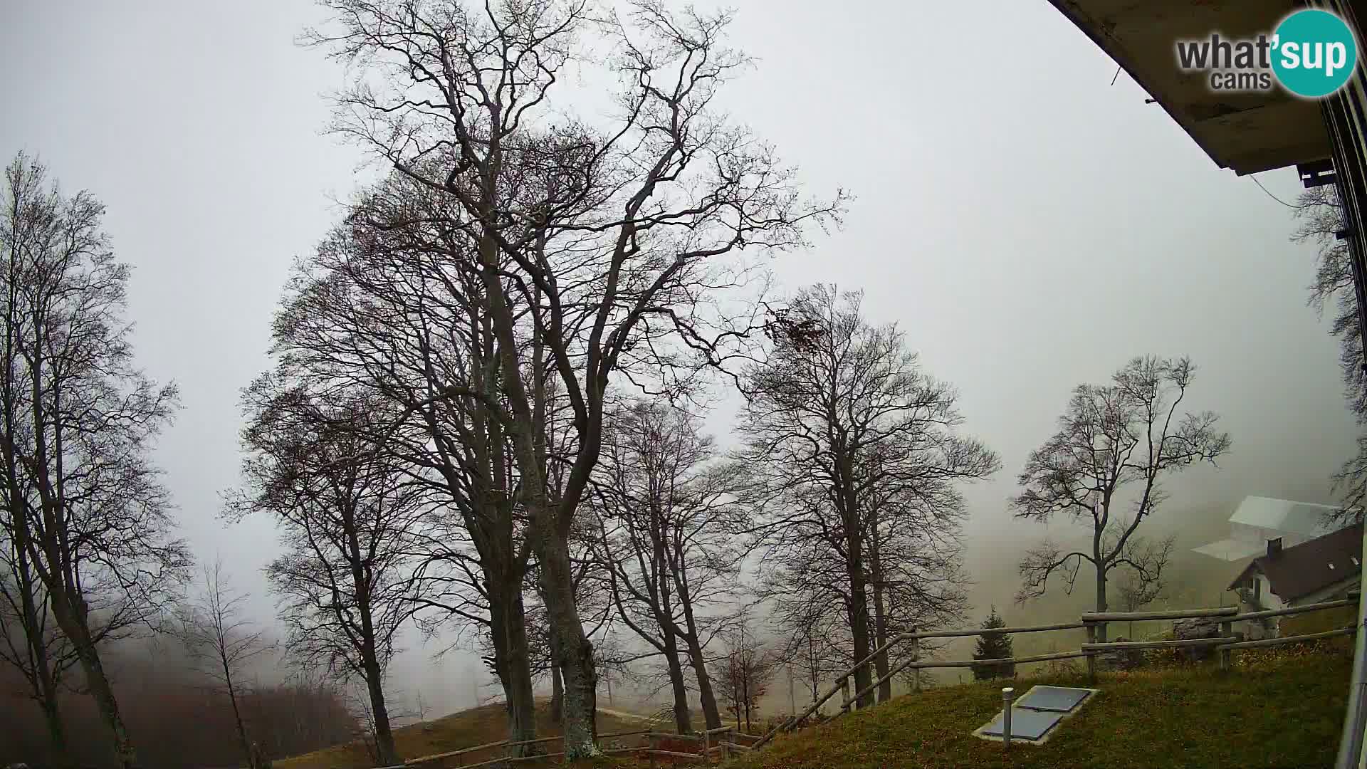 Planina Razor Bergütte Webcam (1315) | Blick auf Tolminski Migovec