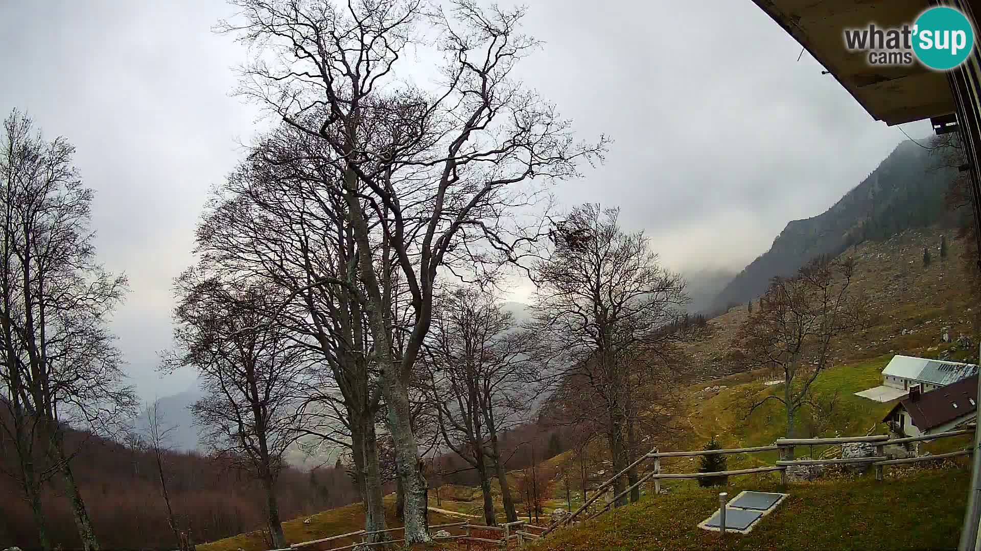 Planina Razor Bergütte Webcam (1315) | Blick auf Tolminski Migovec
