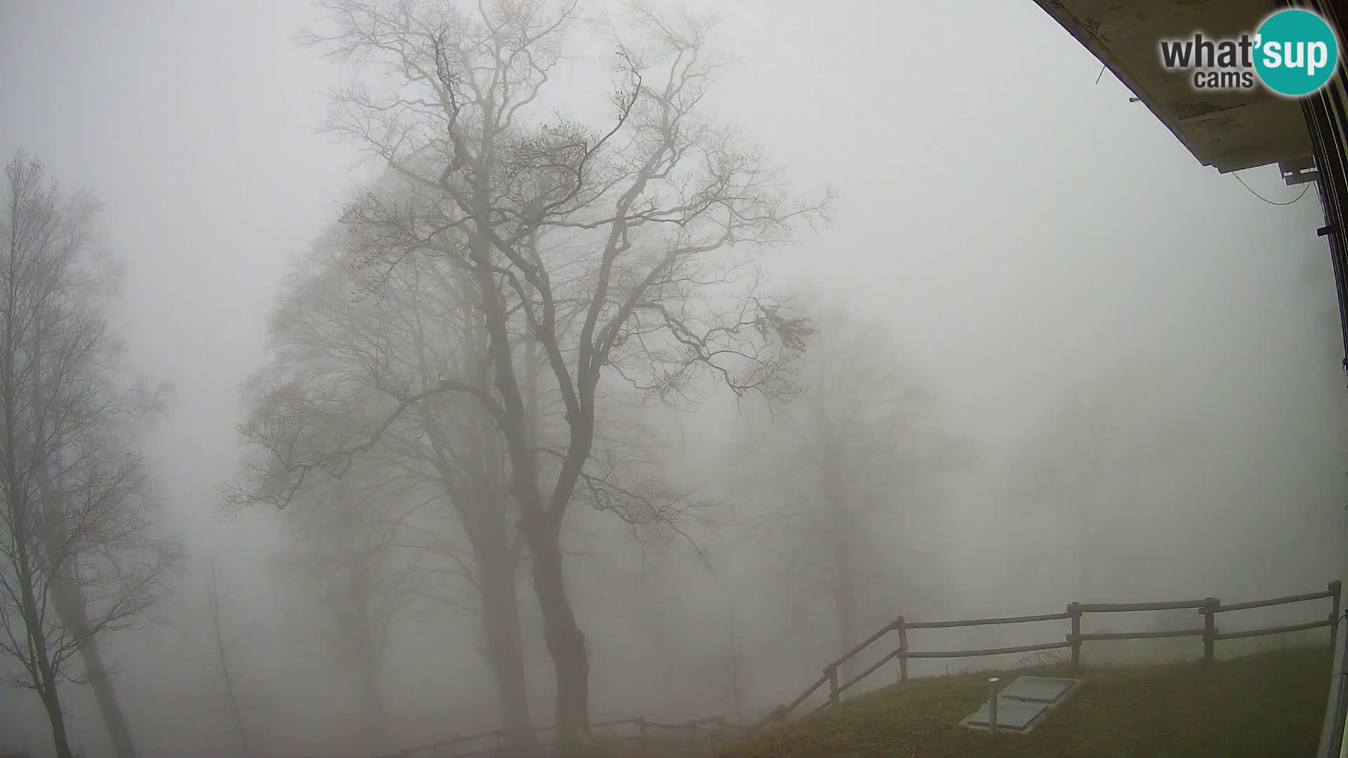 Planina Razor Mountain Hut live cam (1315) | view to Tolminski Migovec