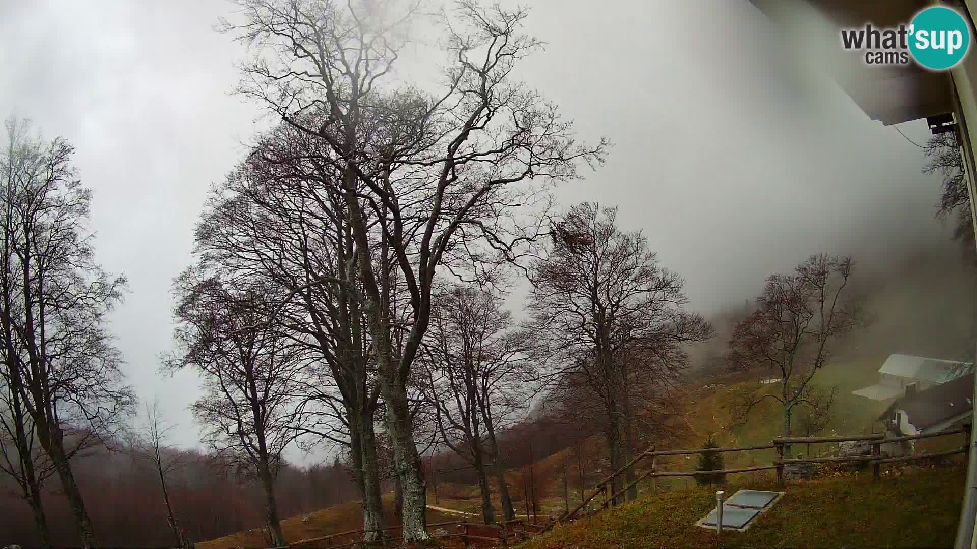 Cámara en vivo de la cabaña de montaña Planina Razor (1315) | vista hacia Tolminski Migovec