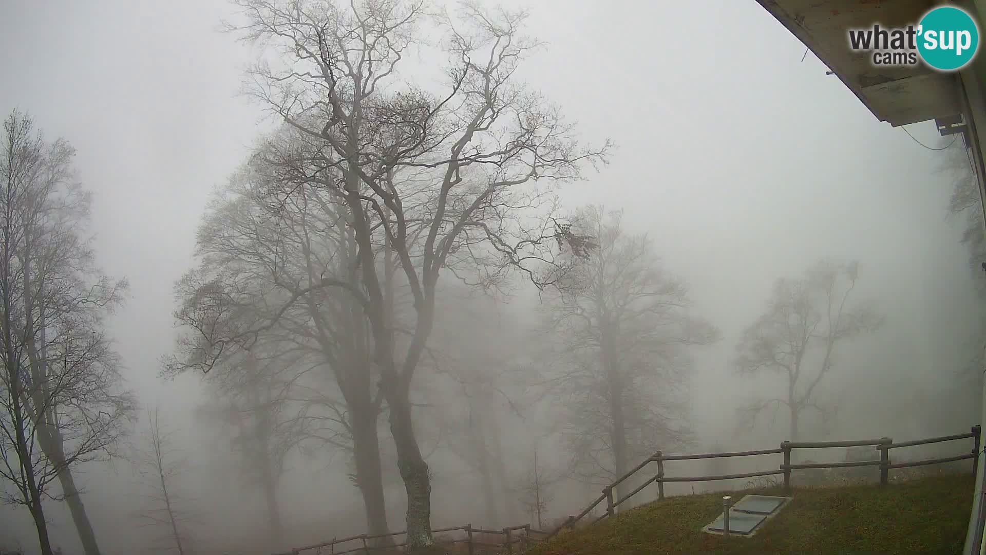 Planinarski dom na planini Razor (1315) | Pogled na Tolminski Migovec