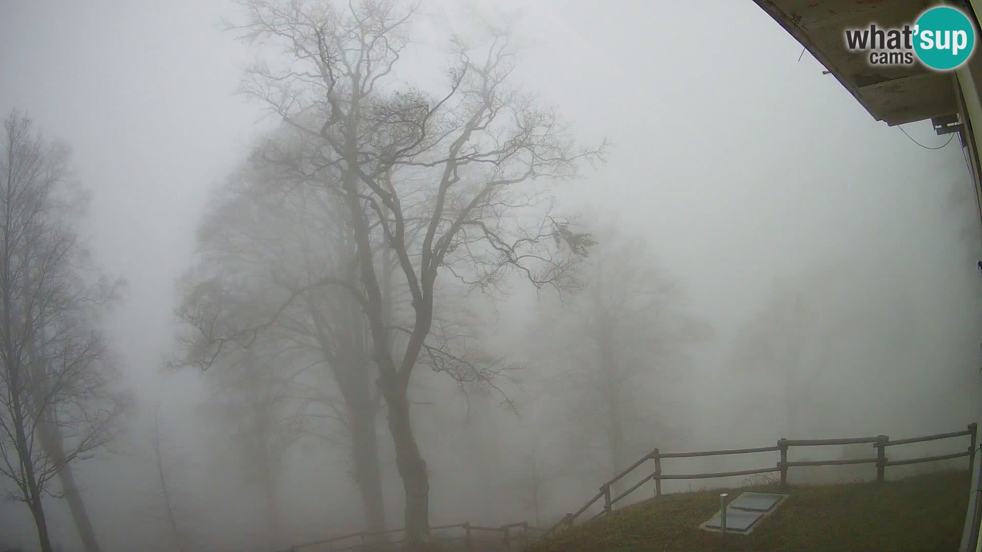 Planina Razor Mountain Hut live cam (1315) | view to Tolminski Migovec