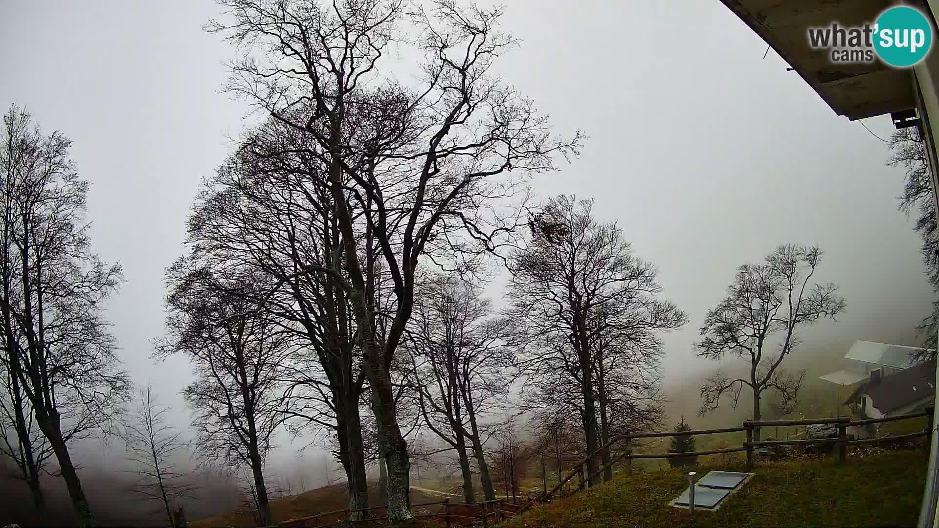 Planina Razor Bergütte Webcam (1315) | Blick auf Tolminski Migovec
