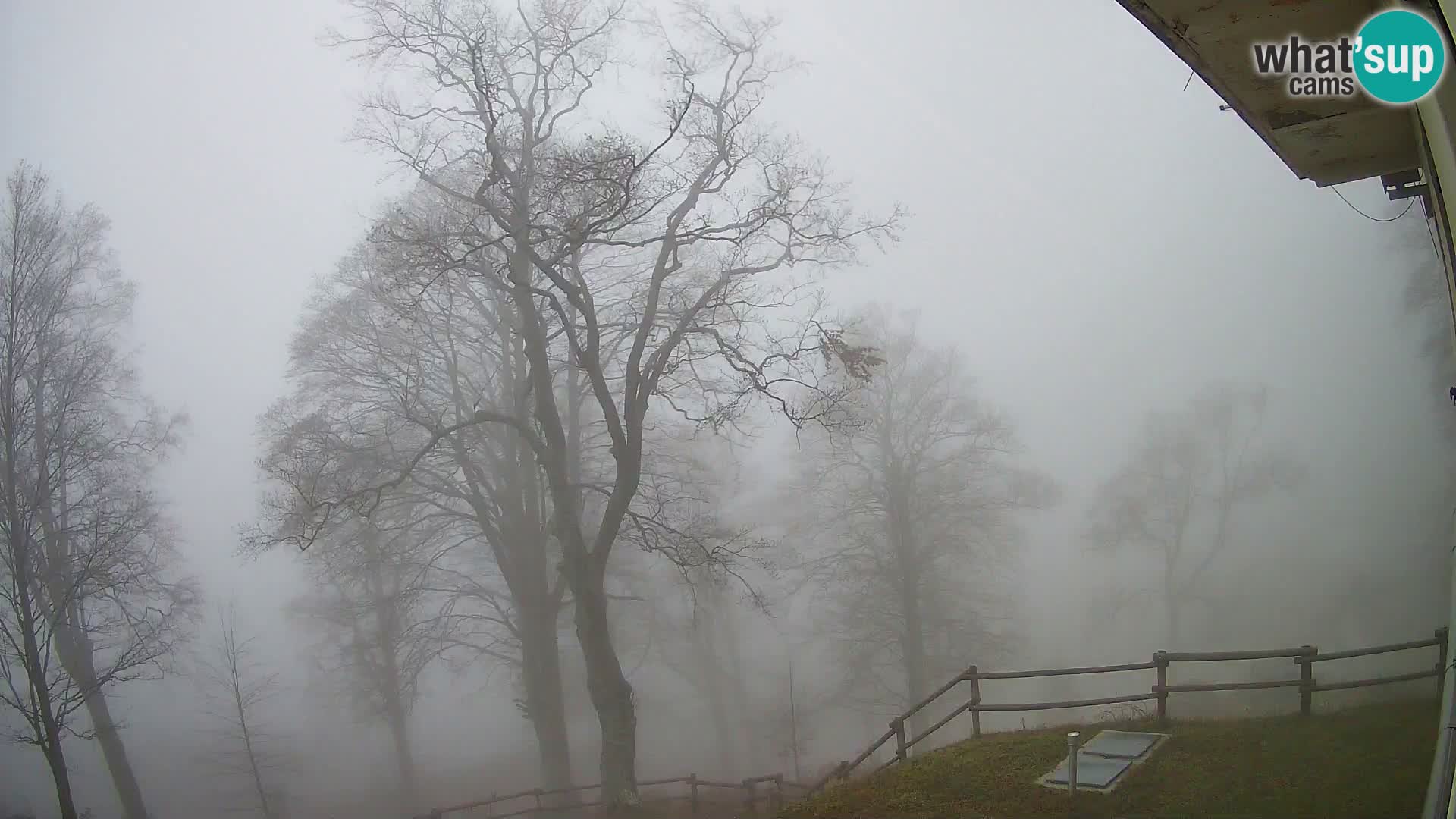 Cámara en vivo de la cabaña de montaña Planina Razor (1315) | vista hacia Tolminski Migovec