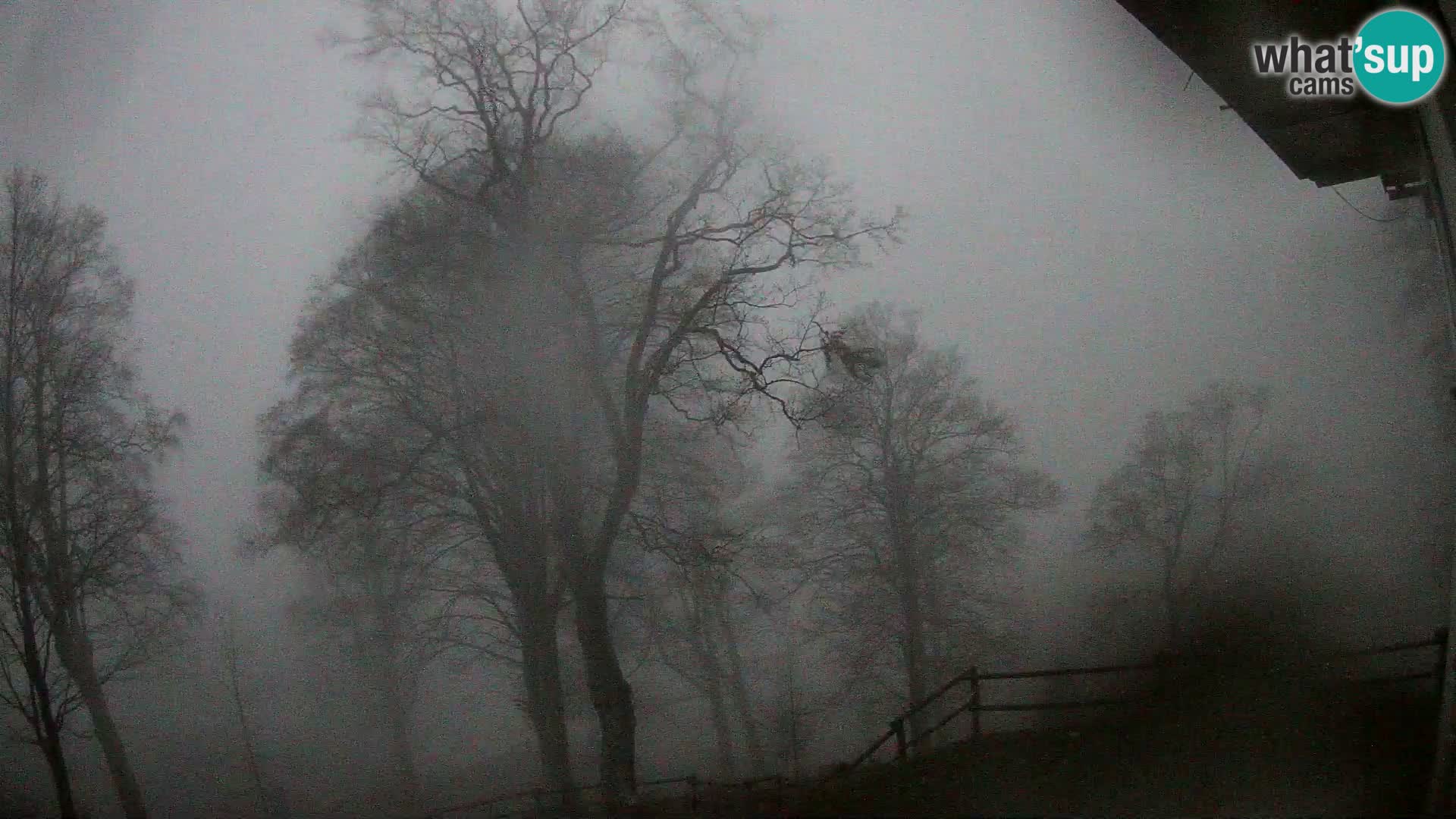 Cámara en vivo de la cabaña de montaña Planina Razor (1315) | vista hacia Tolminski Migovec