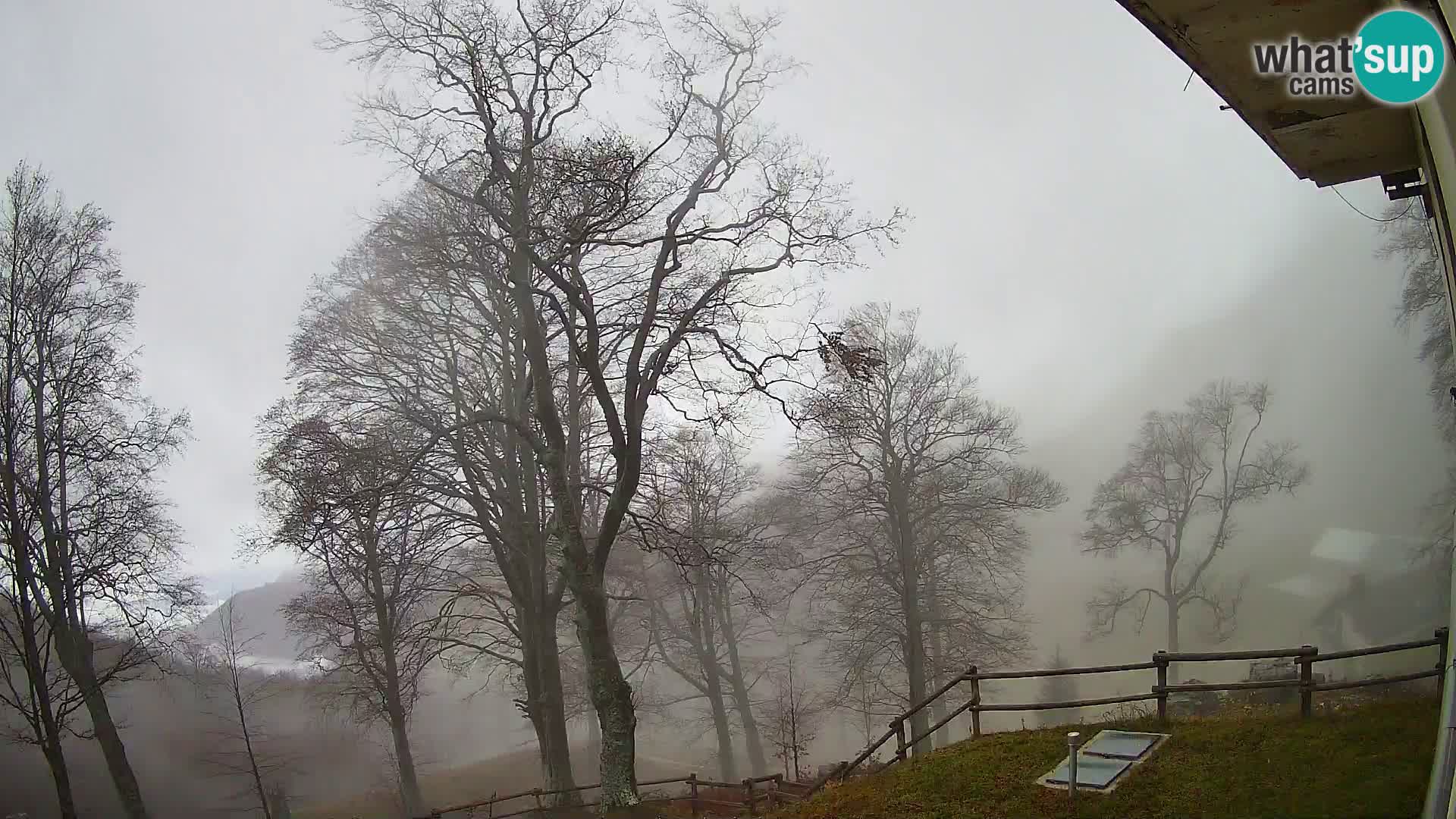 Koča na Planini Razor spletna kamera (1315) | Pogled na Tolminski Migovec