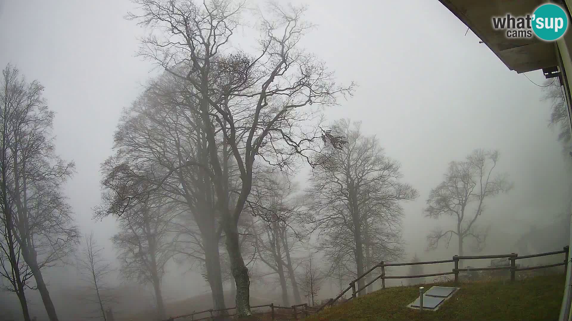 Planina Razor Bergütte Webcam (1315) | Blick auf Tolminski Migovec