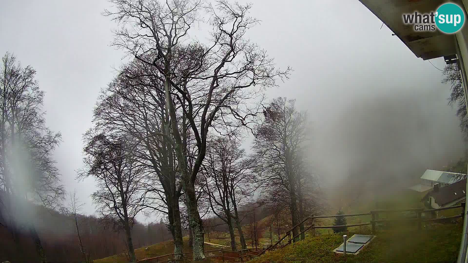 Koča na Planini Razor spletna kamera (1315) | Pogled na Tolminski Migovec