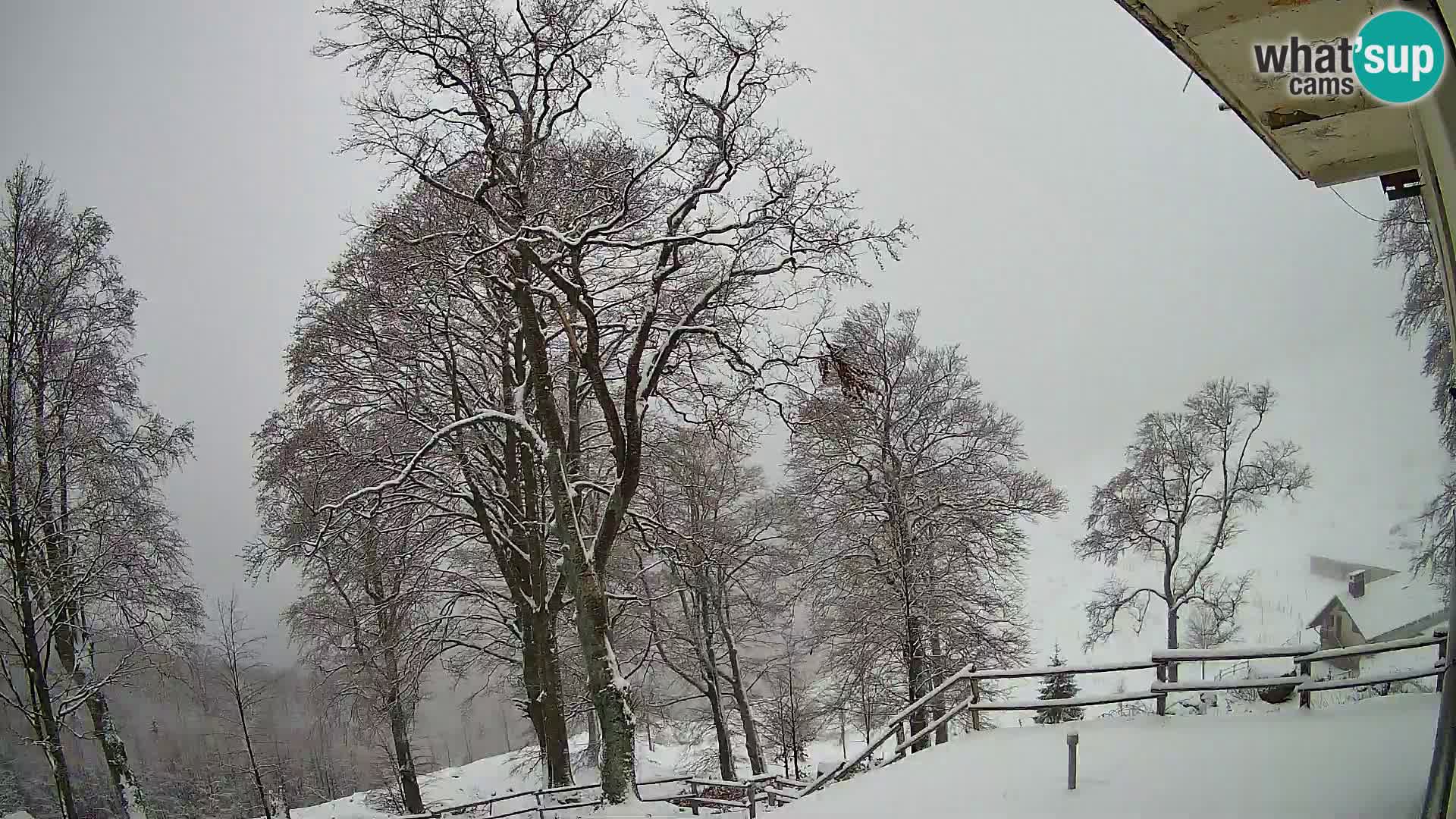 Cámara en vivo de la cabaña de montaña Planina Razor (1315) | vista hacia Tolminski Migovec