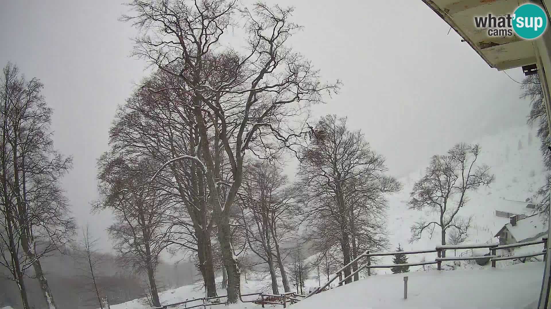 Planinarski dom na planini Razor (1315) | Pogled na Tolminski Migovec