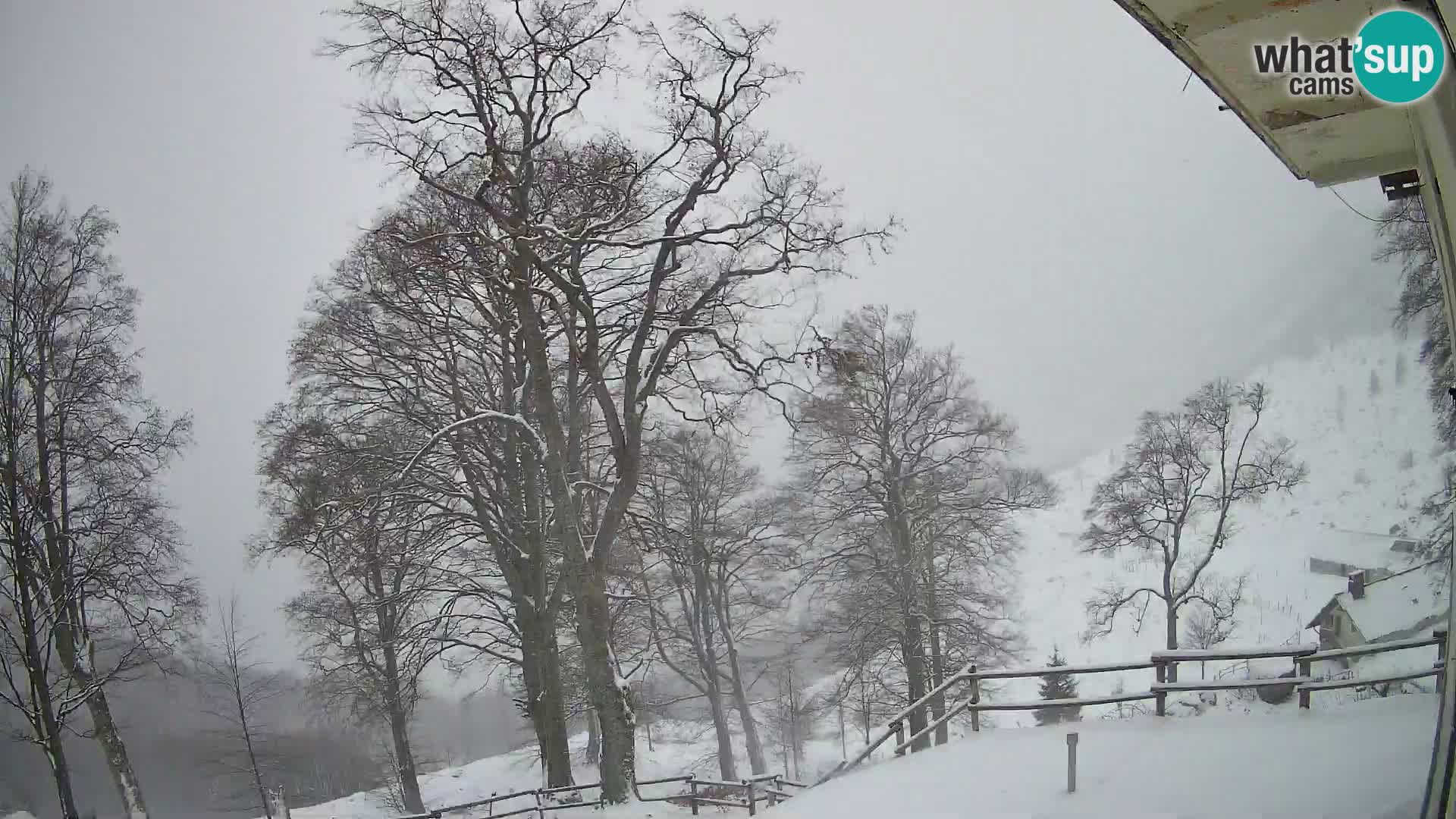 Koča na Planini Razor spletna kamera (1315) | Pogled na Tolminski Migovec