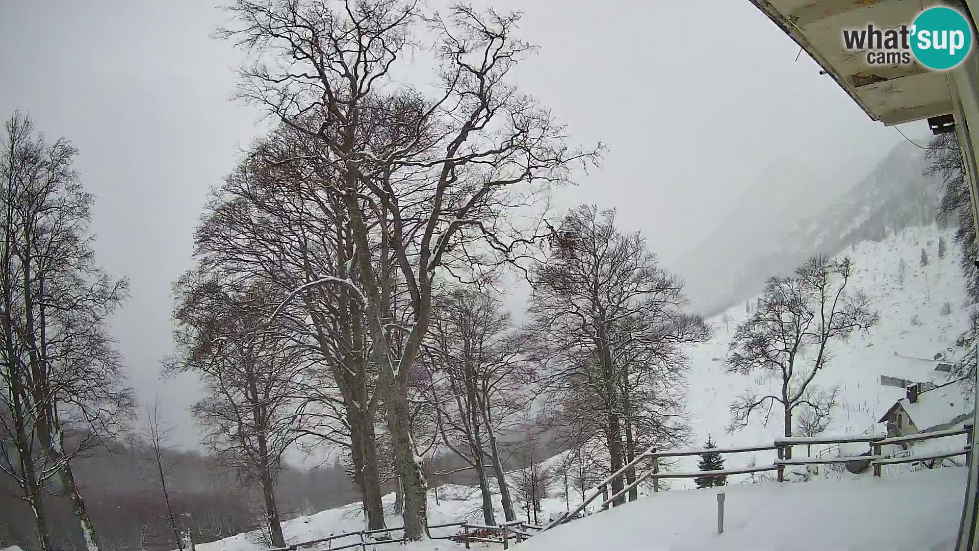 Koča na Planini Razor spletna kamera (1315) | Pogled na Tolminski Migovec